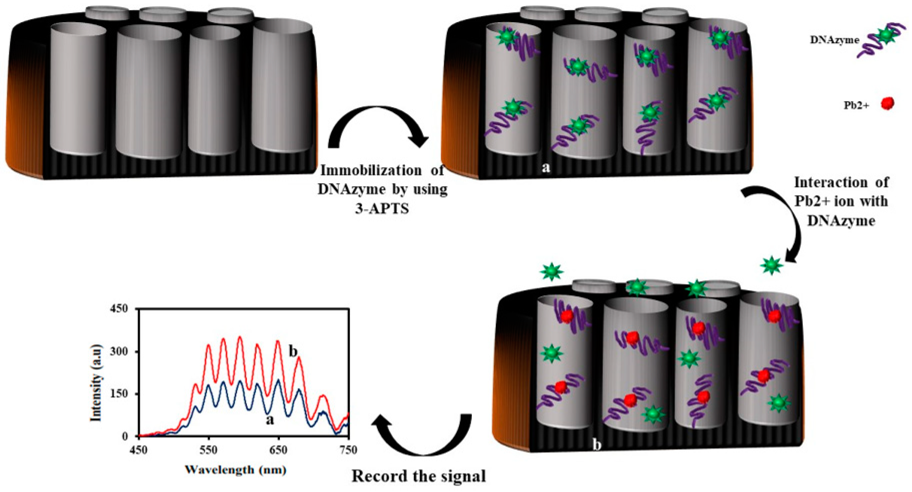 Sensors 20 05068 g009 Sensors 20 05068 g009