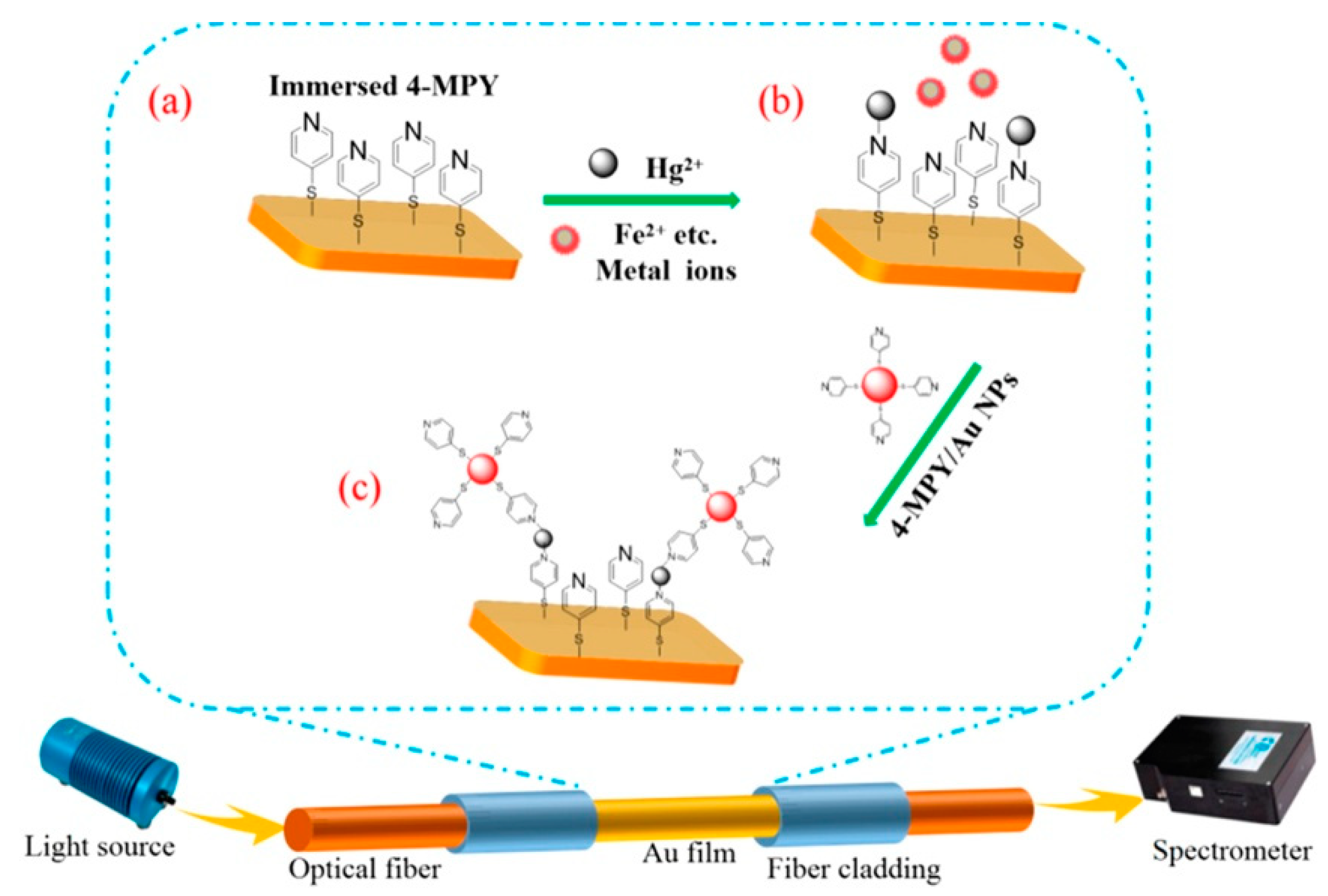 Sensors 20 05155 g005 Sensors 20 05155 g005