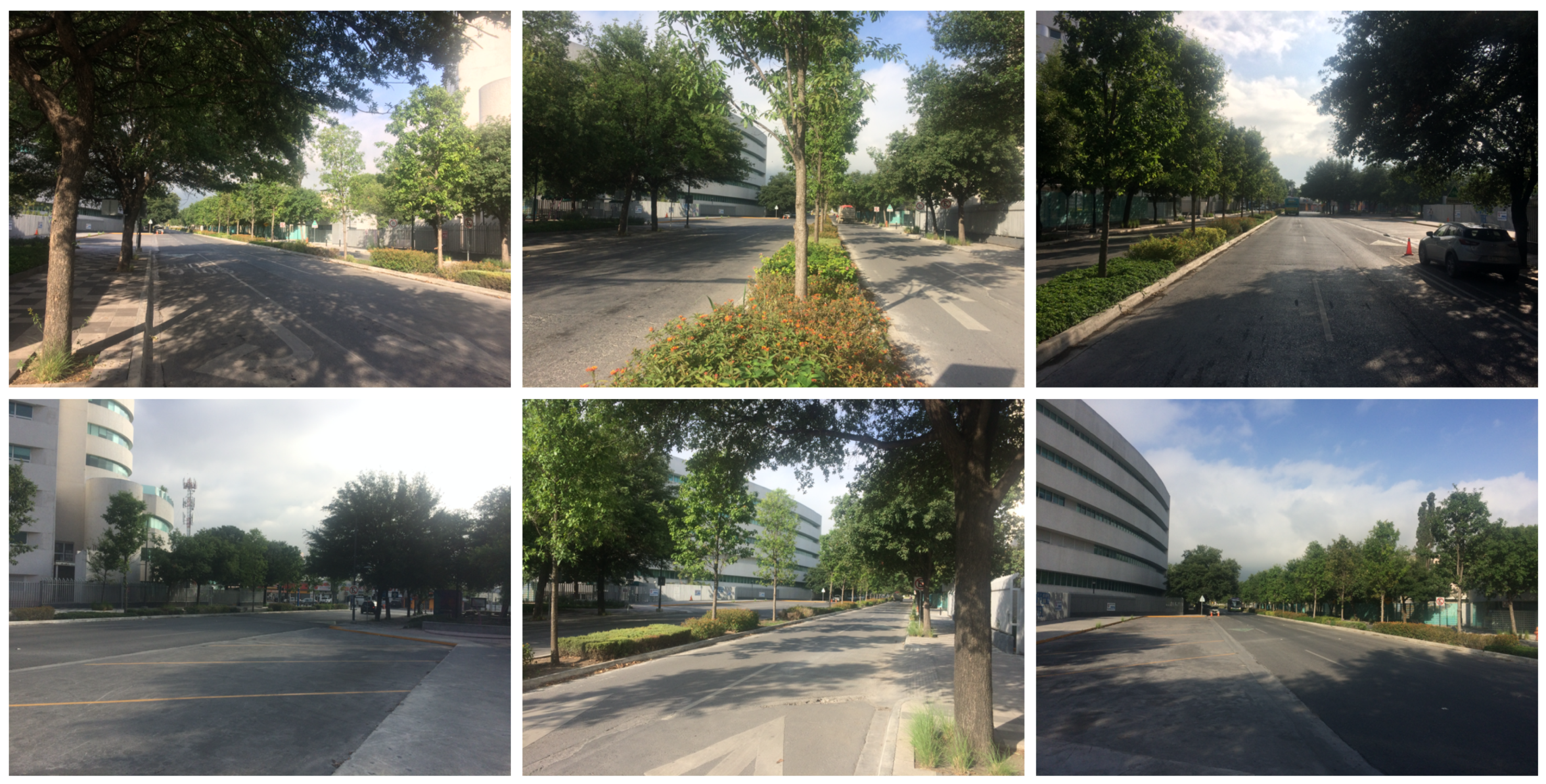 Sensors 20 05284 g004