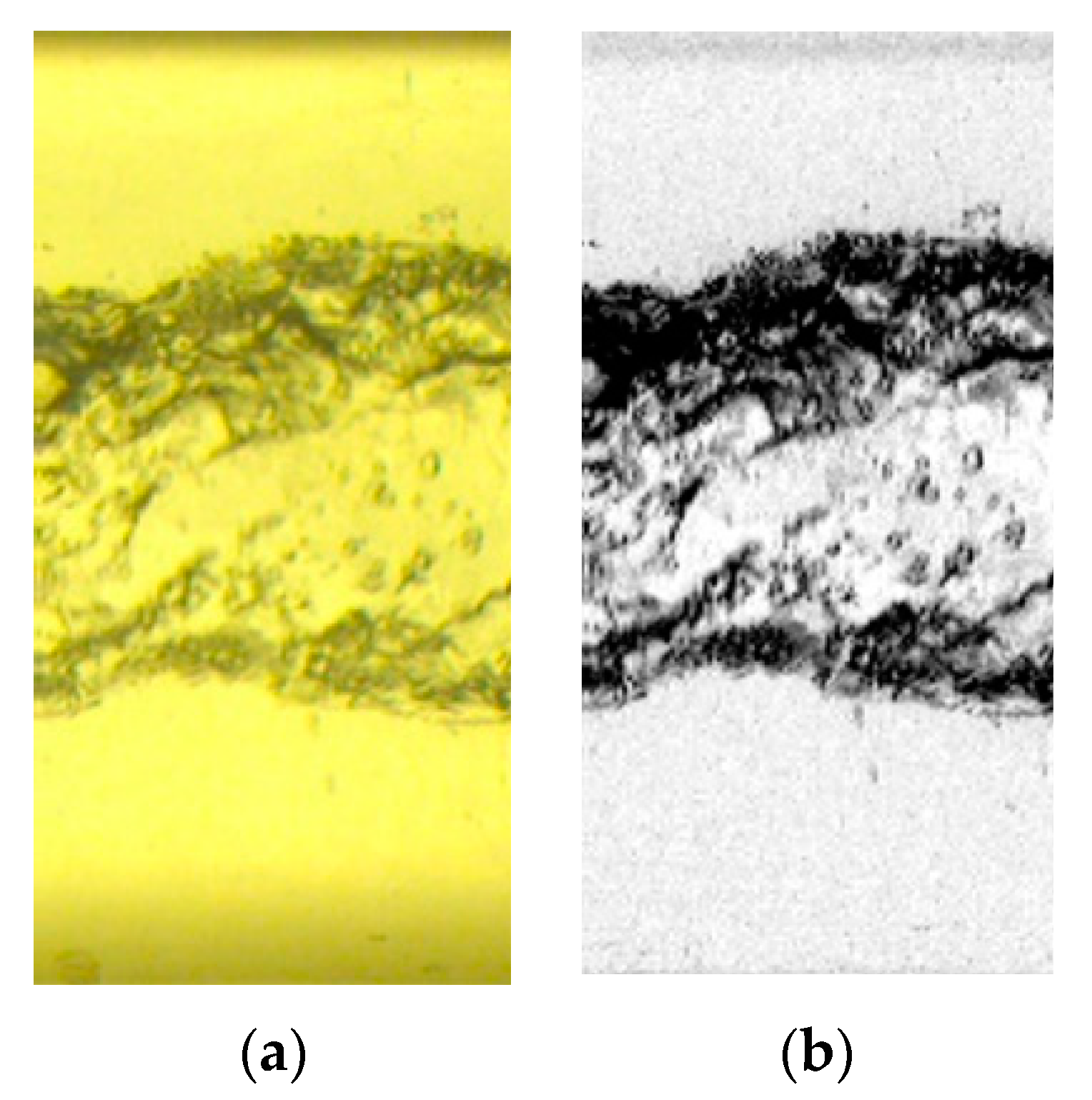 Sensors 20 06069 g010 Sensors 20 06069 g010
