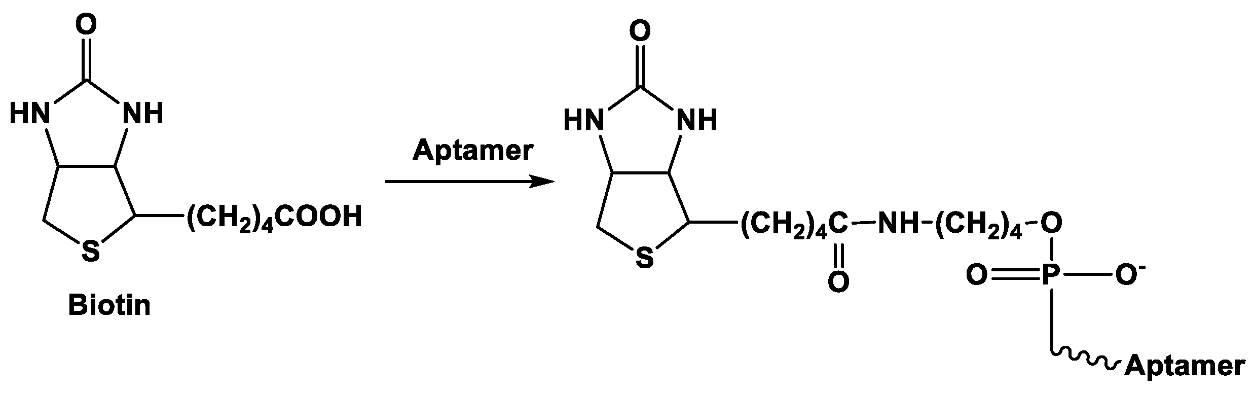 Sensors 20 06963 g006 Sensors 20 06963 g006