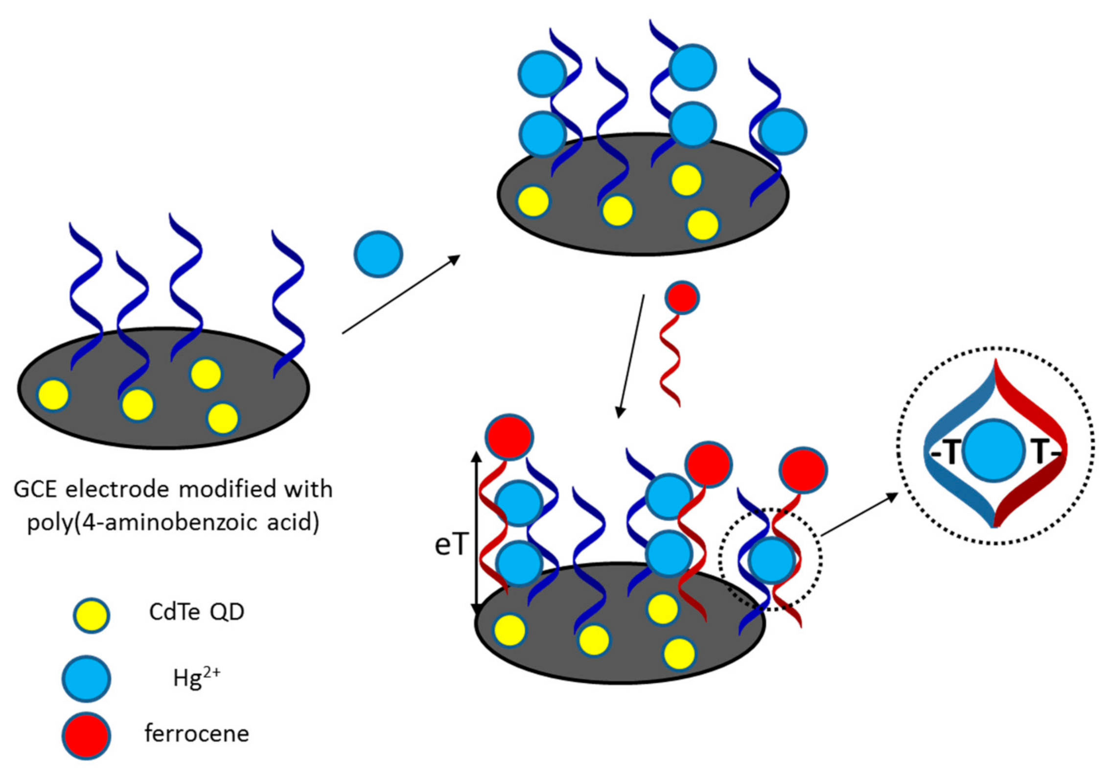 Sensors 21 00724 g003 Sensors 21 00724 g003