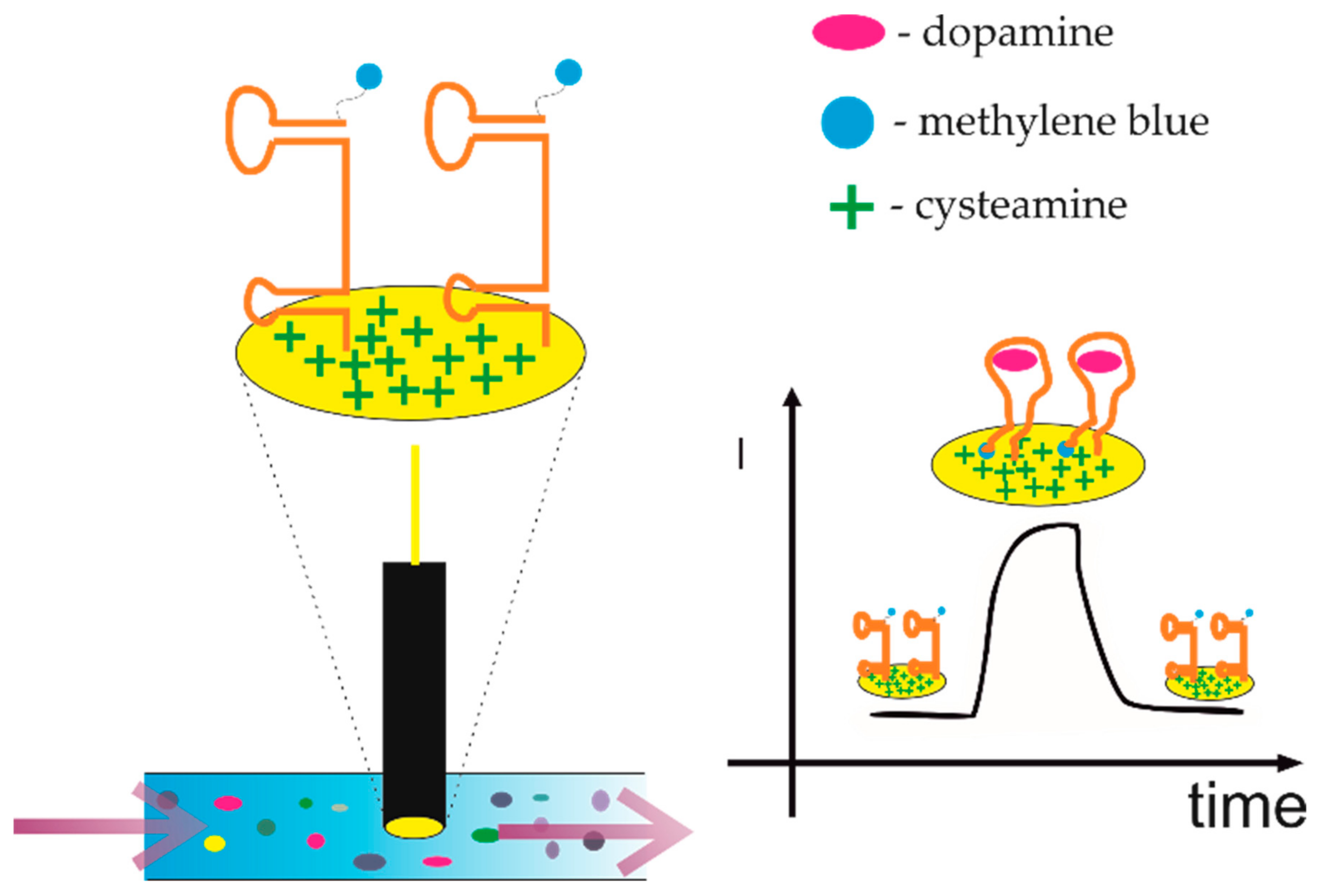 Sensors 21 00724 g007 Sensors 21 00724 g007