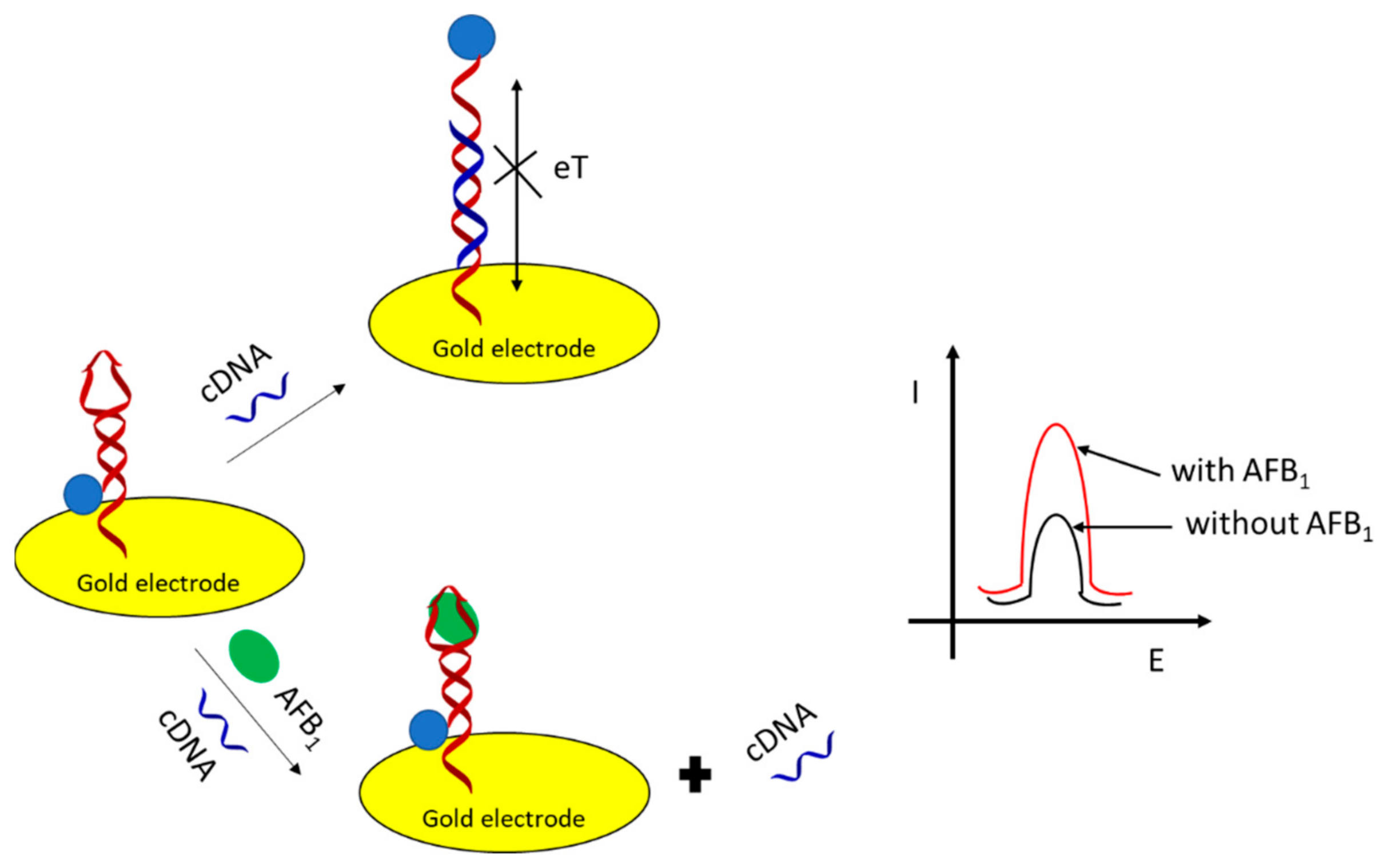 Sensors 21 00724 g012 Sensors 21 00724 g012