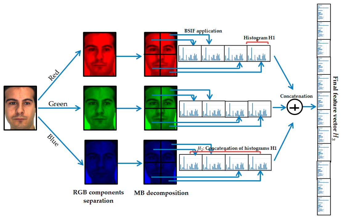 Sensors 21 00728 g005 Sensors 21 00728 g005