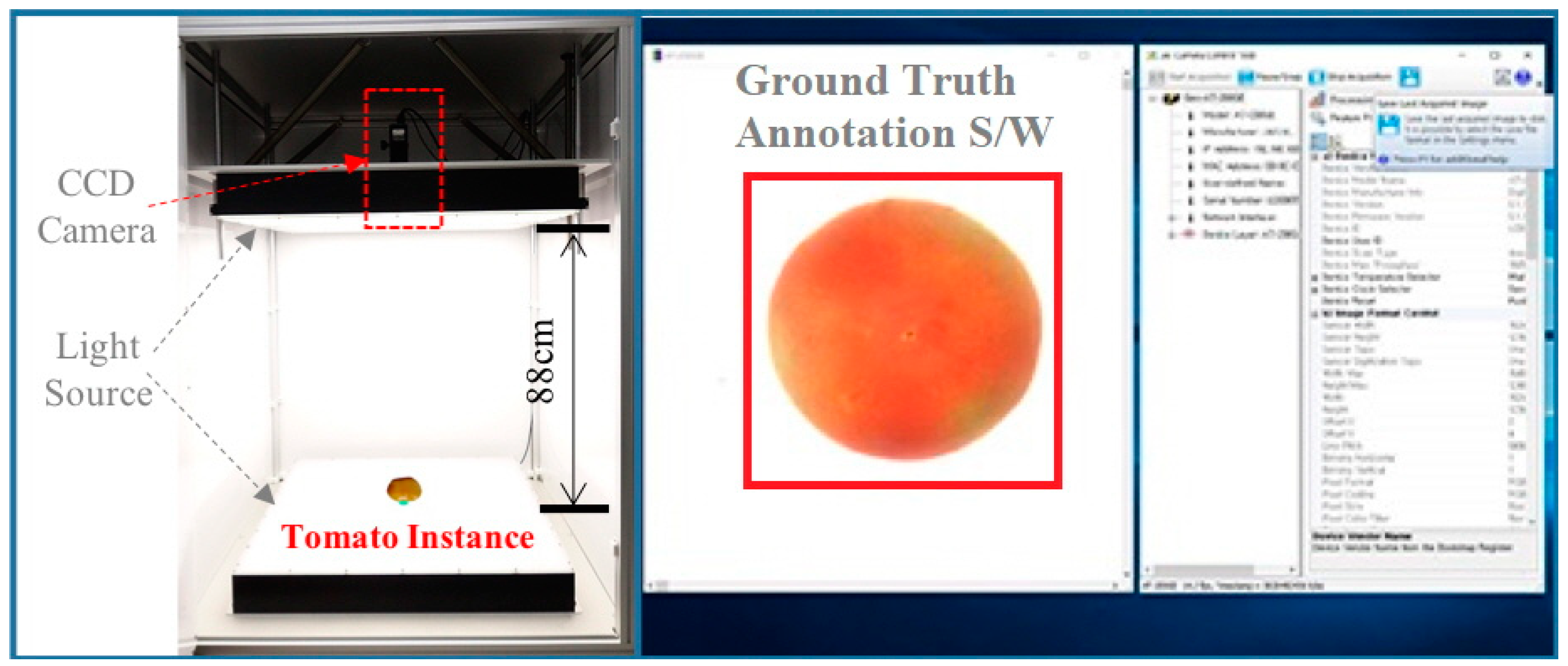 Sensors 21 00917 g001 Sensors 21 00917 g001