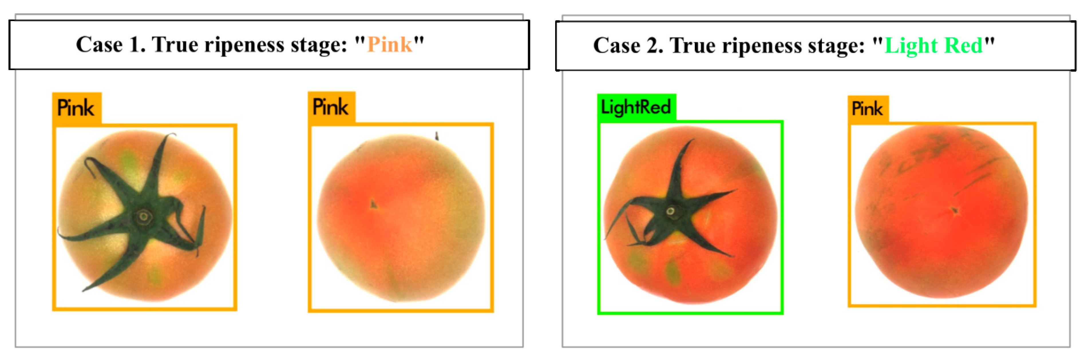 Sensors 21 00917 g004 Sensors 21 00917 g004