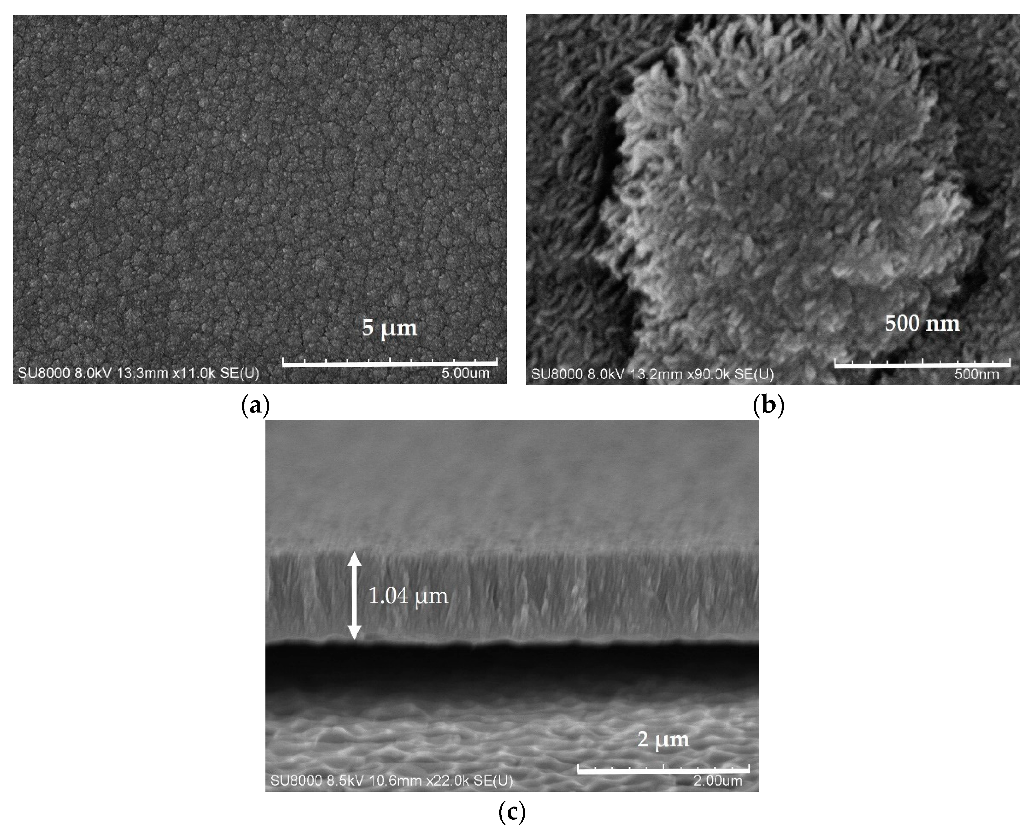 Sensors 21 01130 g008 Sensors 21 01130 g008