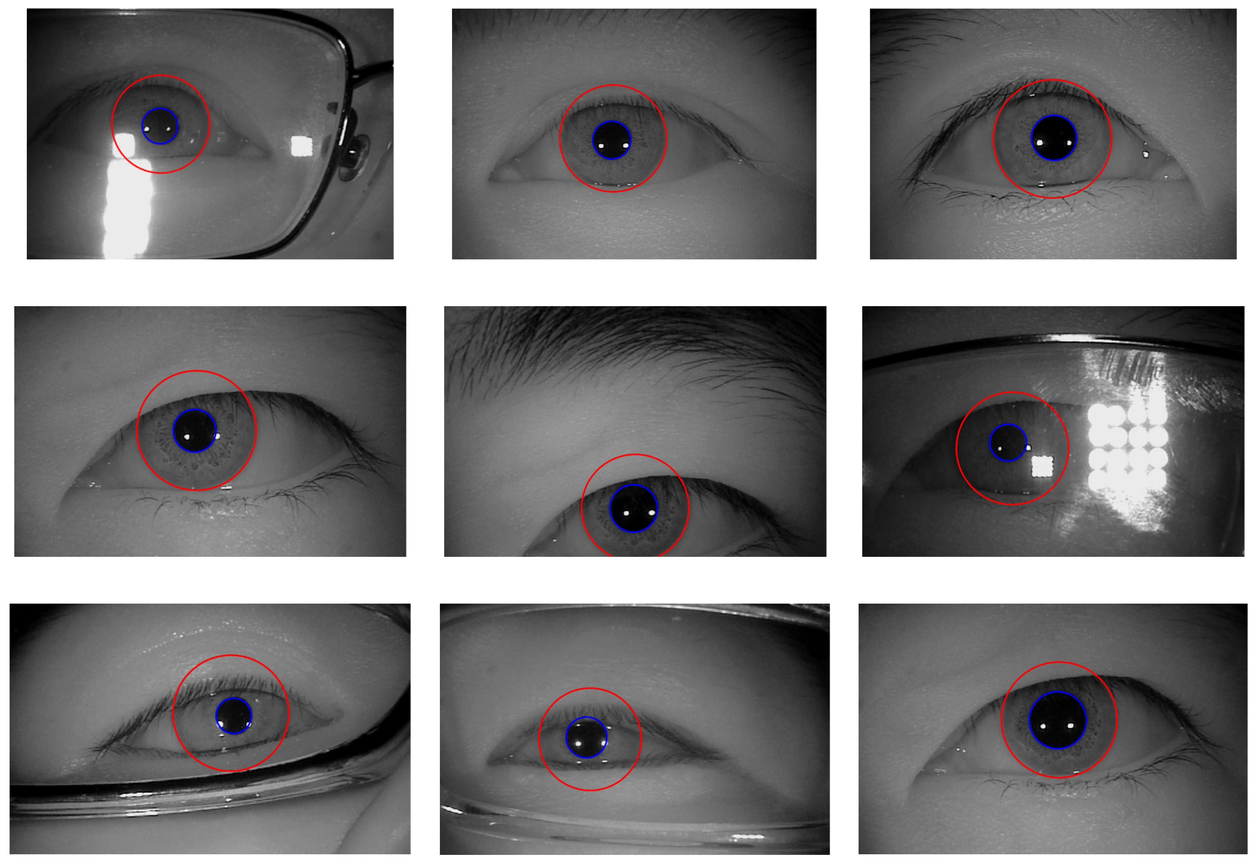 Sensors 21 01434 g011 Sensors 21 01434 g011