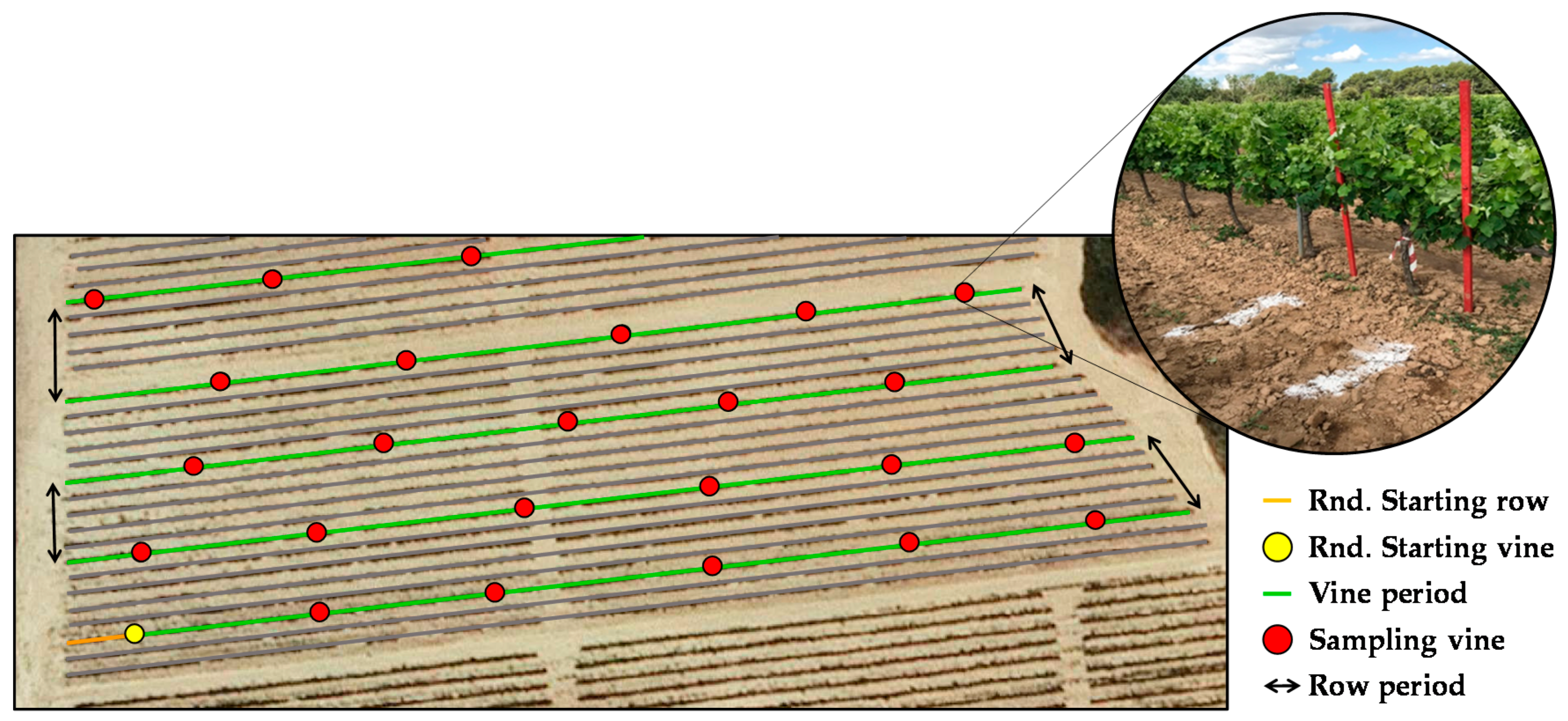 Sensors 21 02363 g002 Sensors 21 02363 g002