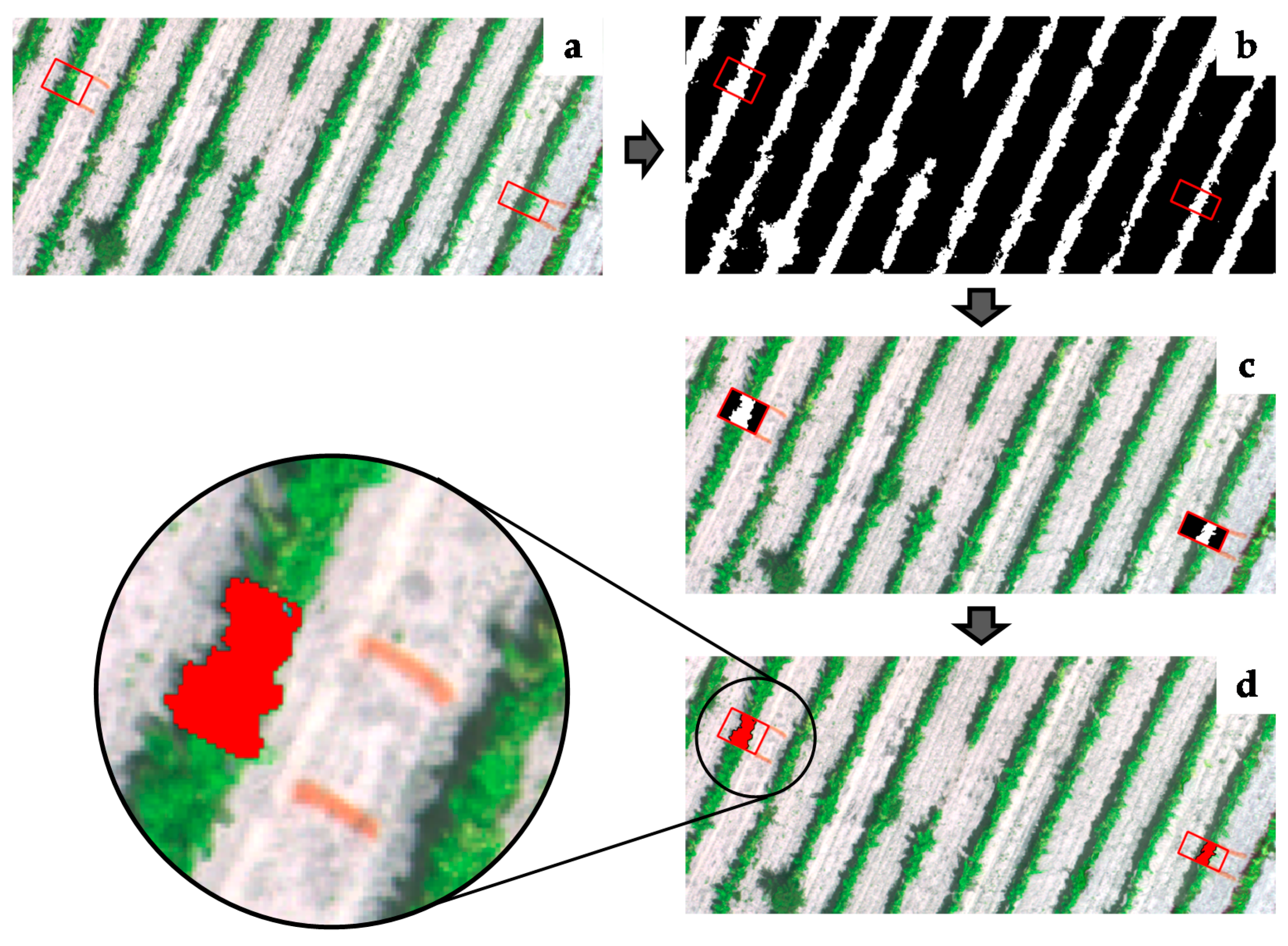 Sensors 21 02363 g004 Sensors 21 02363 g004
