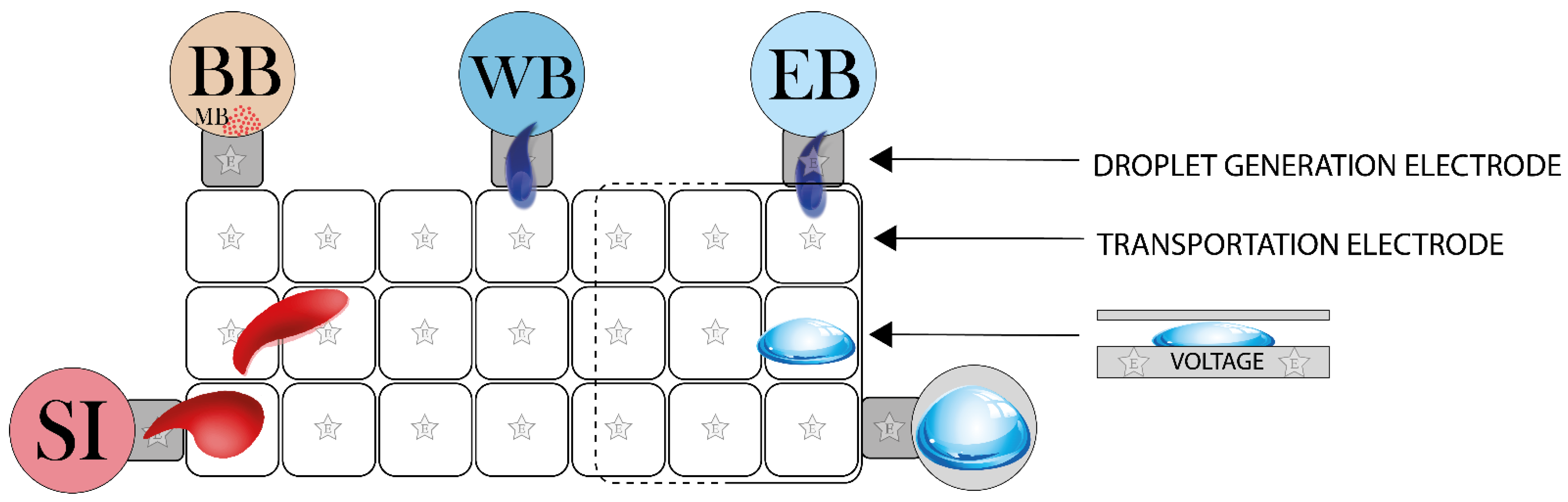 Sensors 21 03058 g003 Sensors 21 03058 g003