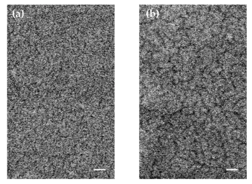 Sensors 21 03674 g005