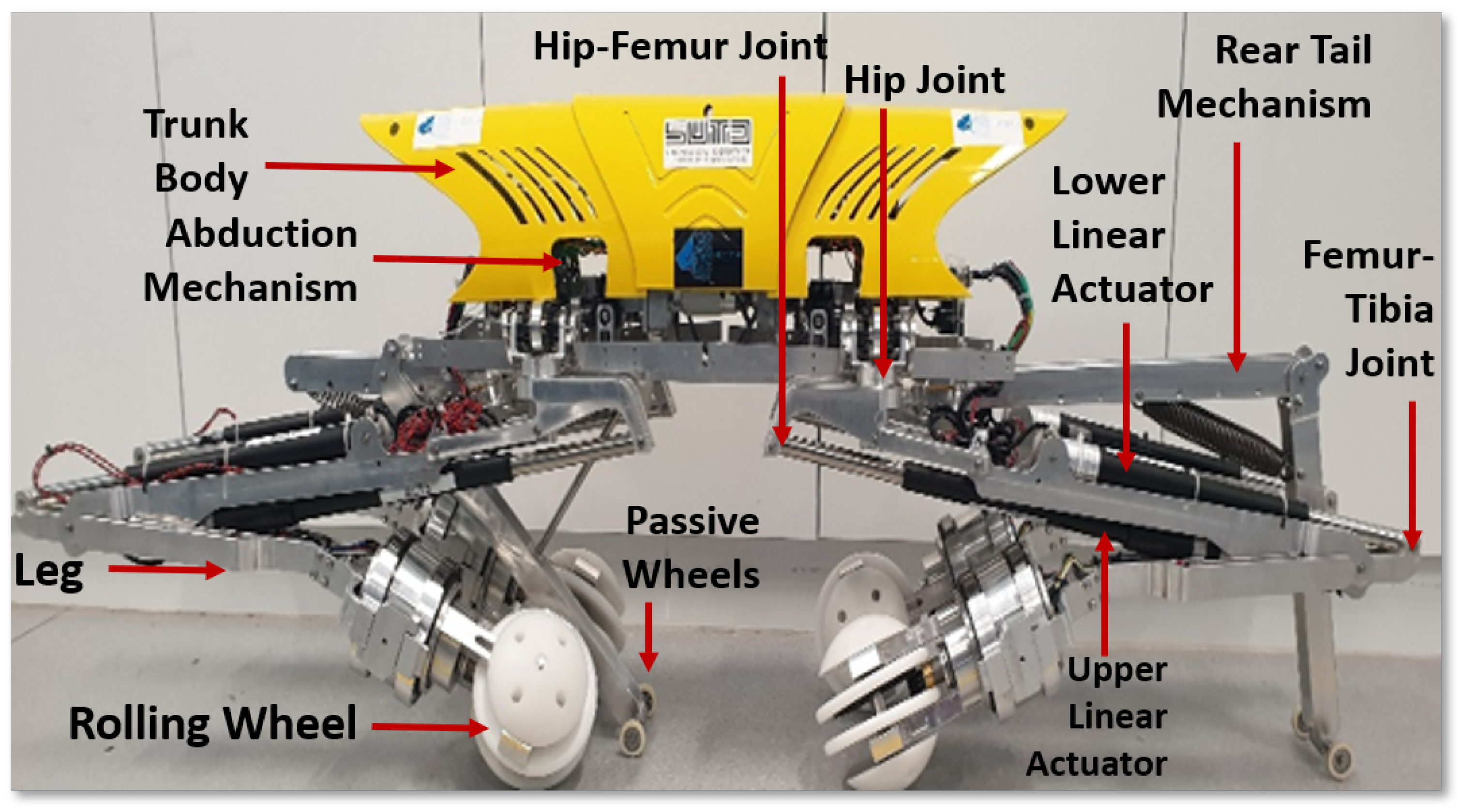 Sensors 21 03744 g002 Sensors 21 03744 g002