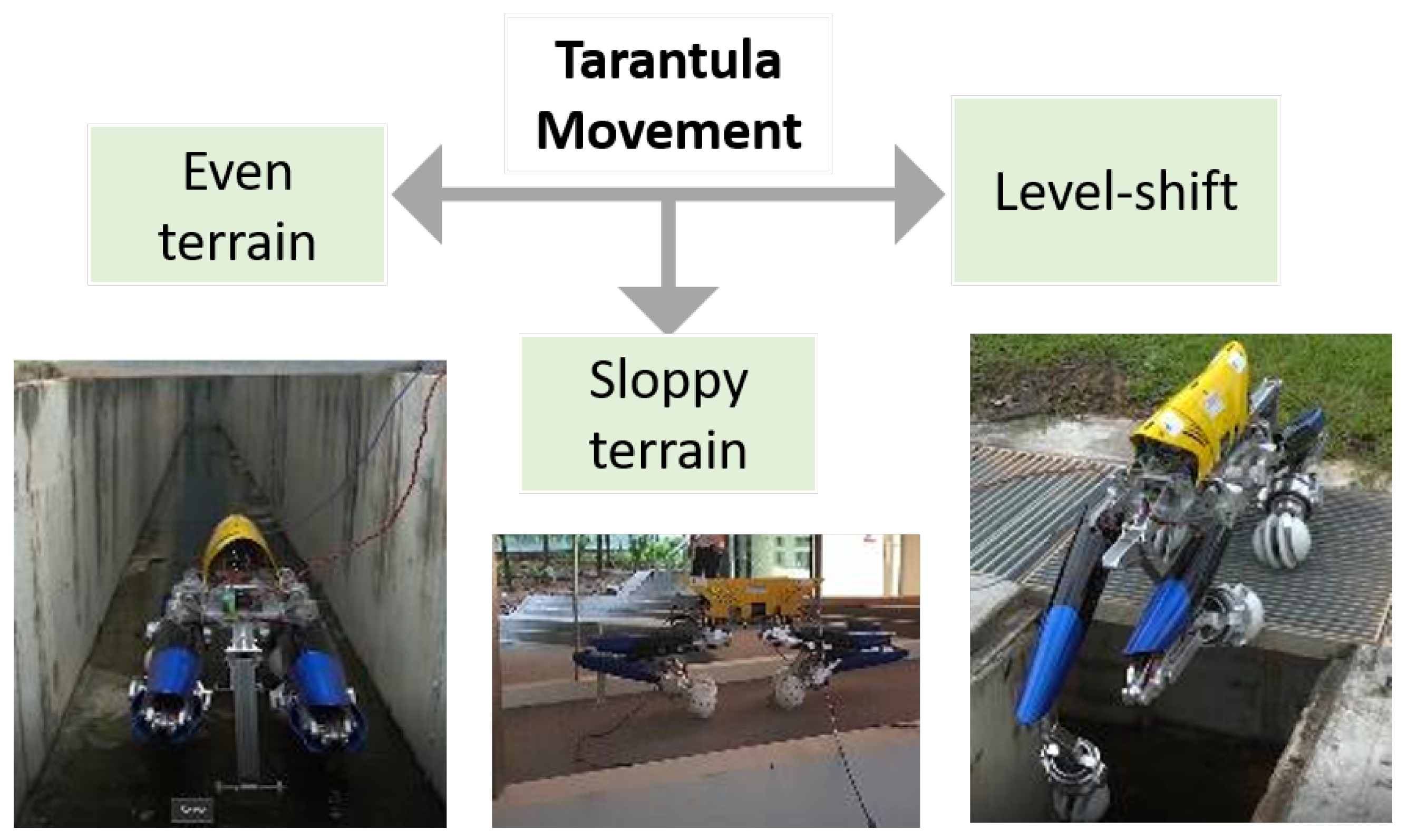 Sensors 21 03744 g007 Sensors 21 03744 g007