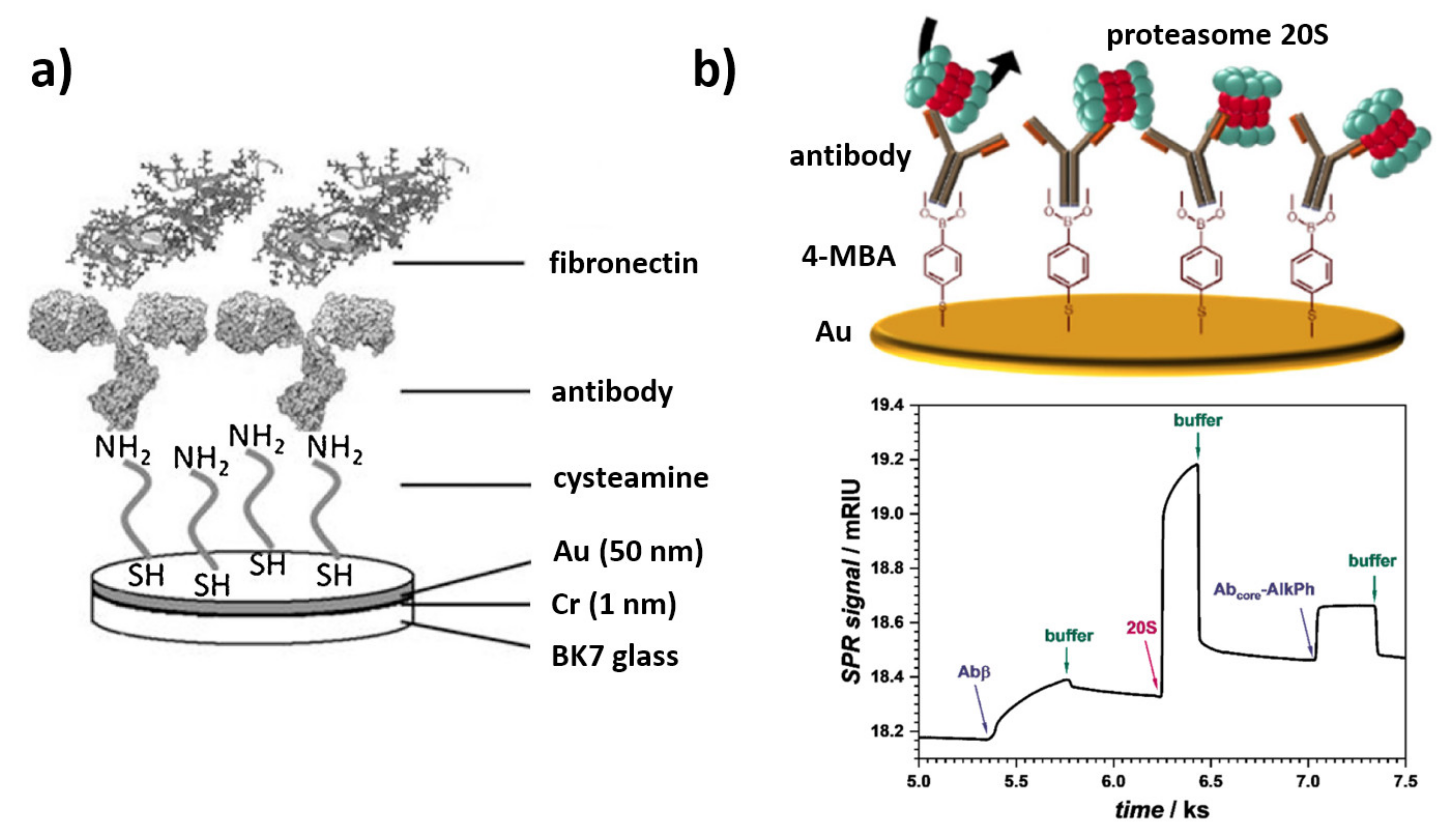 Sensors 21 03781 g003