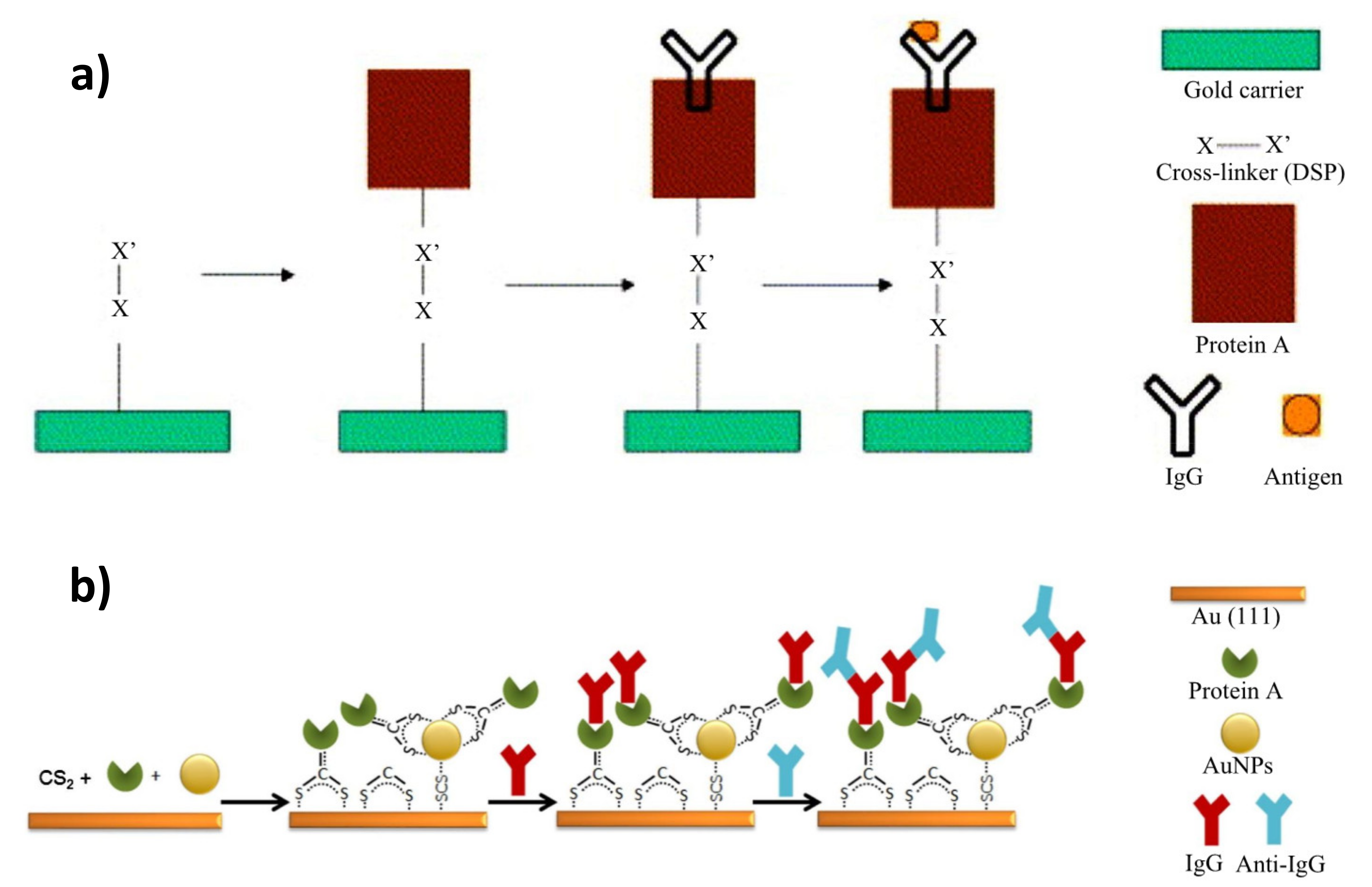 Sensors 21 03781 g006