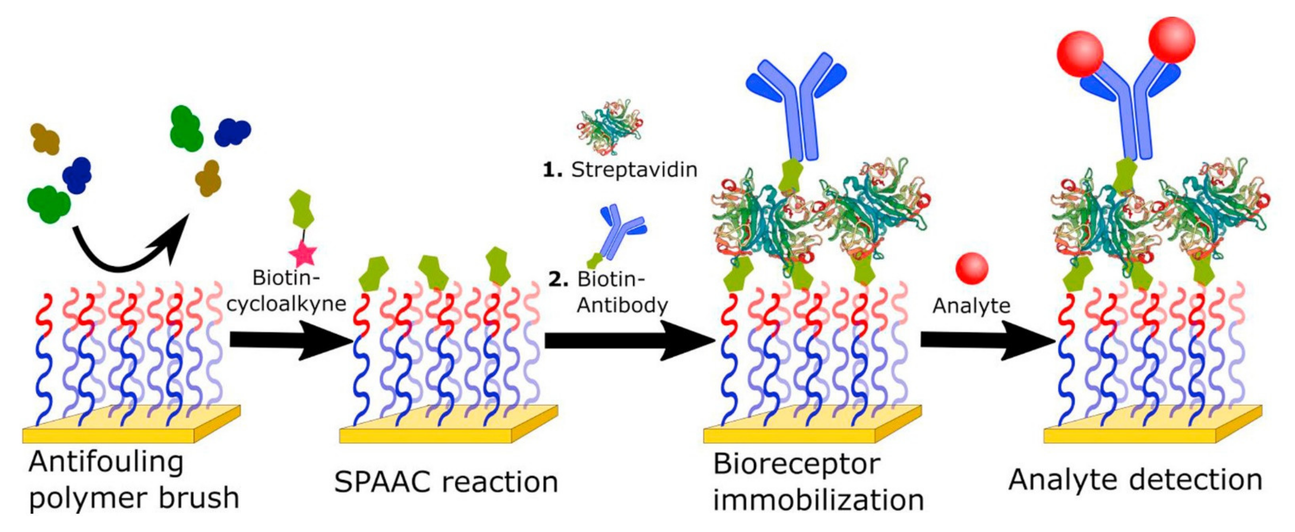 Sensors 21 03781 g007