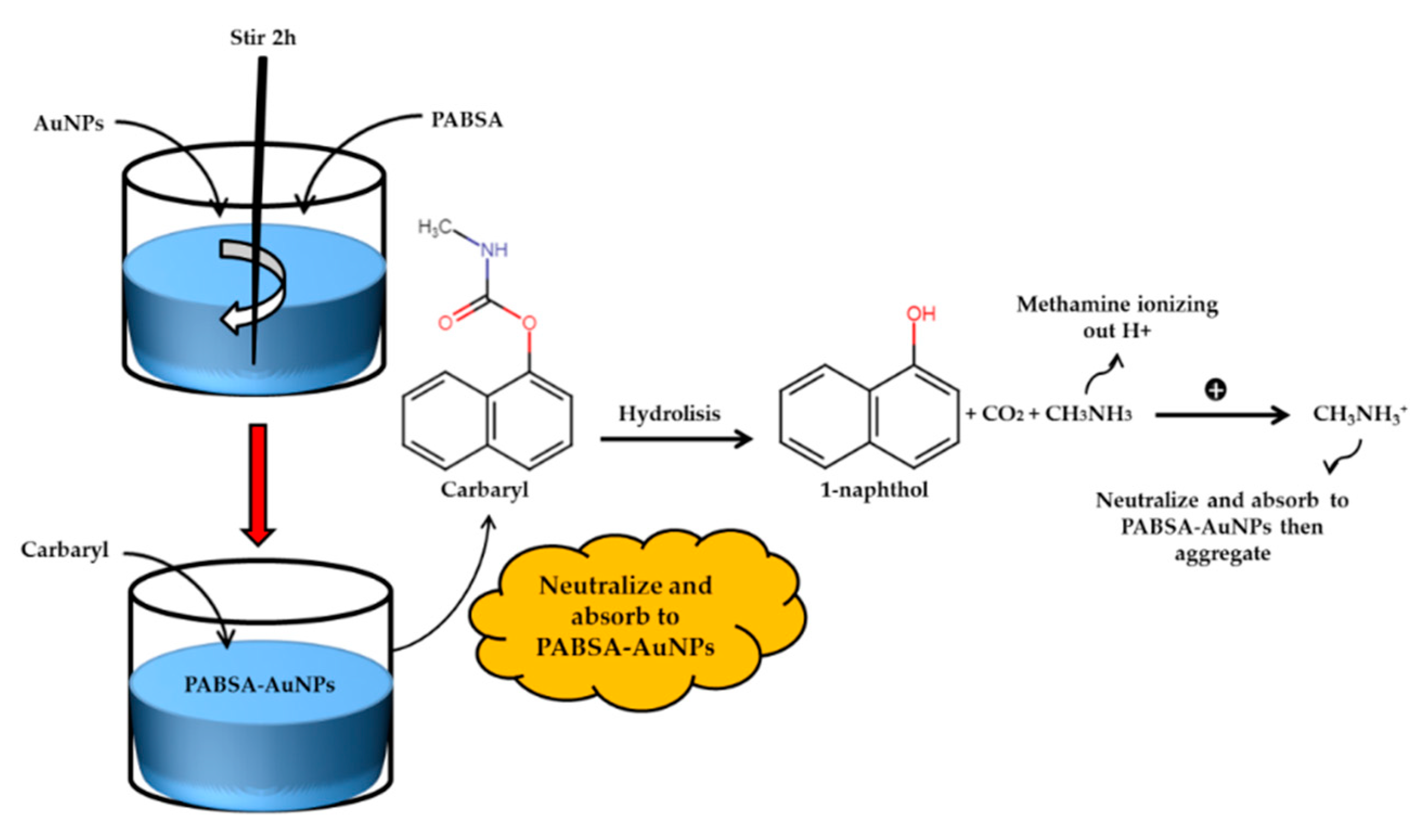 Sensors Free Full Text Recent Advances On Detection Of Insecticides