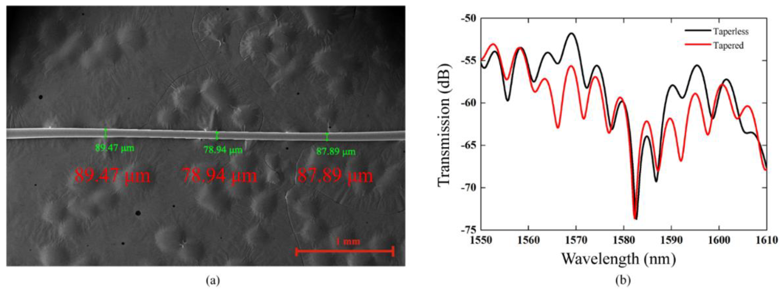 Sensors 21 03886 g003 Sensors 21 03886 g003