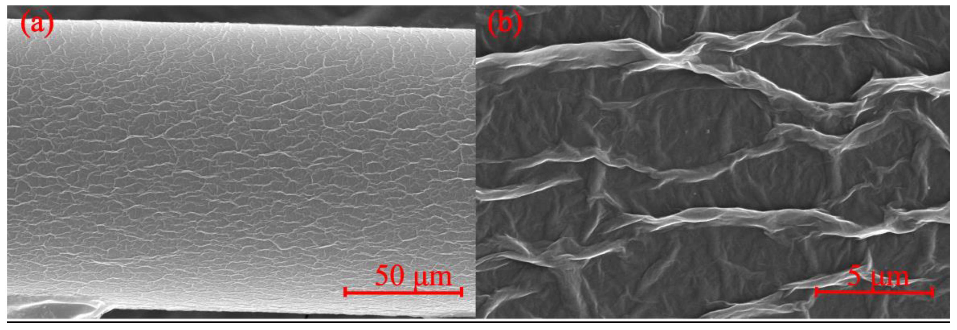 Sensors 21 03886 g005 Sensors 21 03886 g005