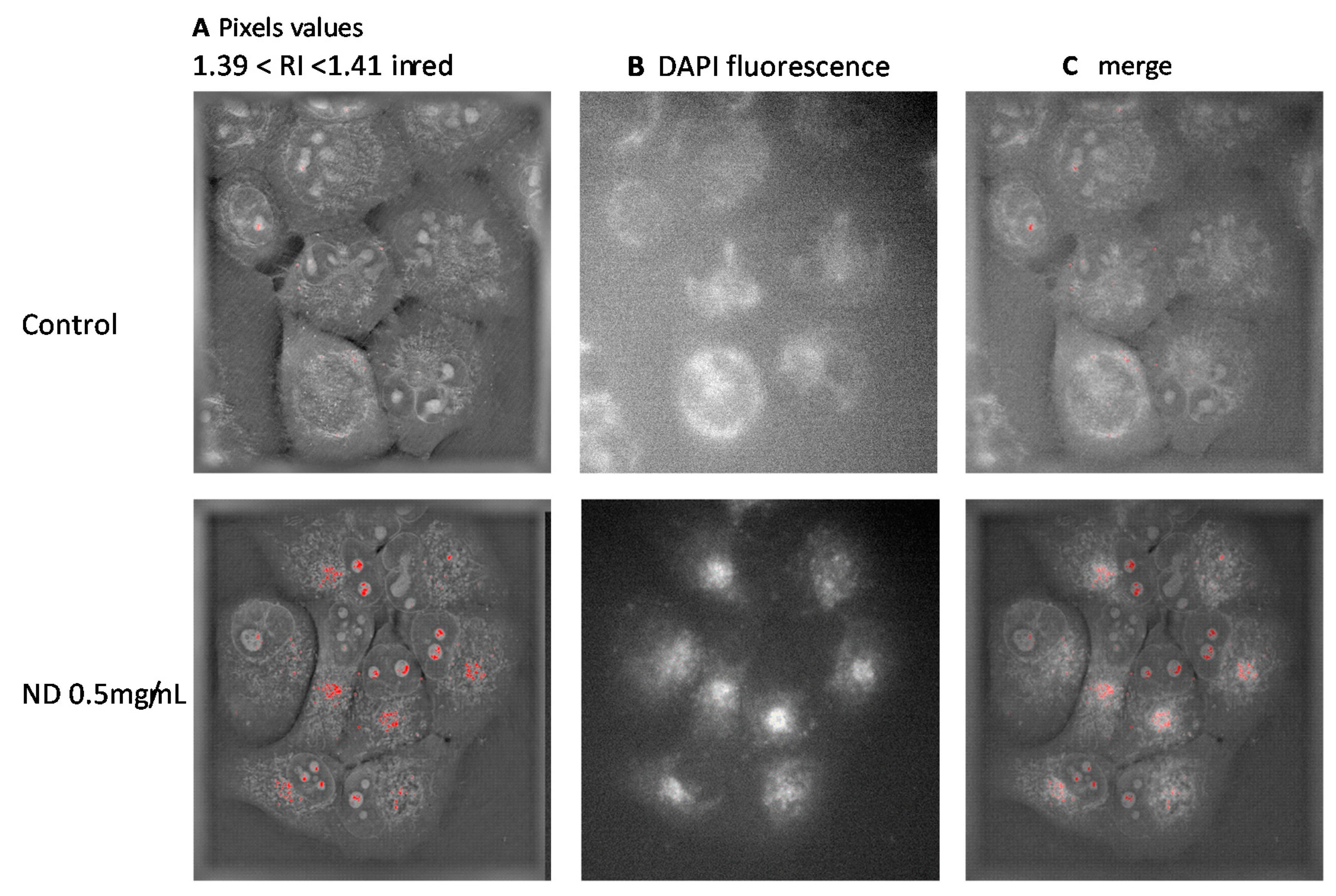 Sensors 21 05001 g003