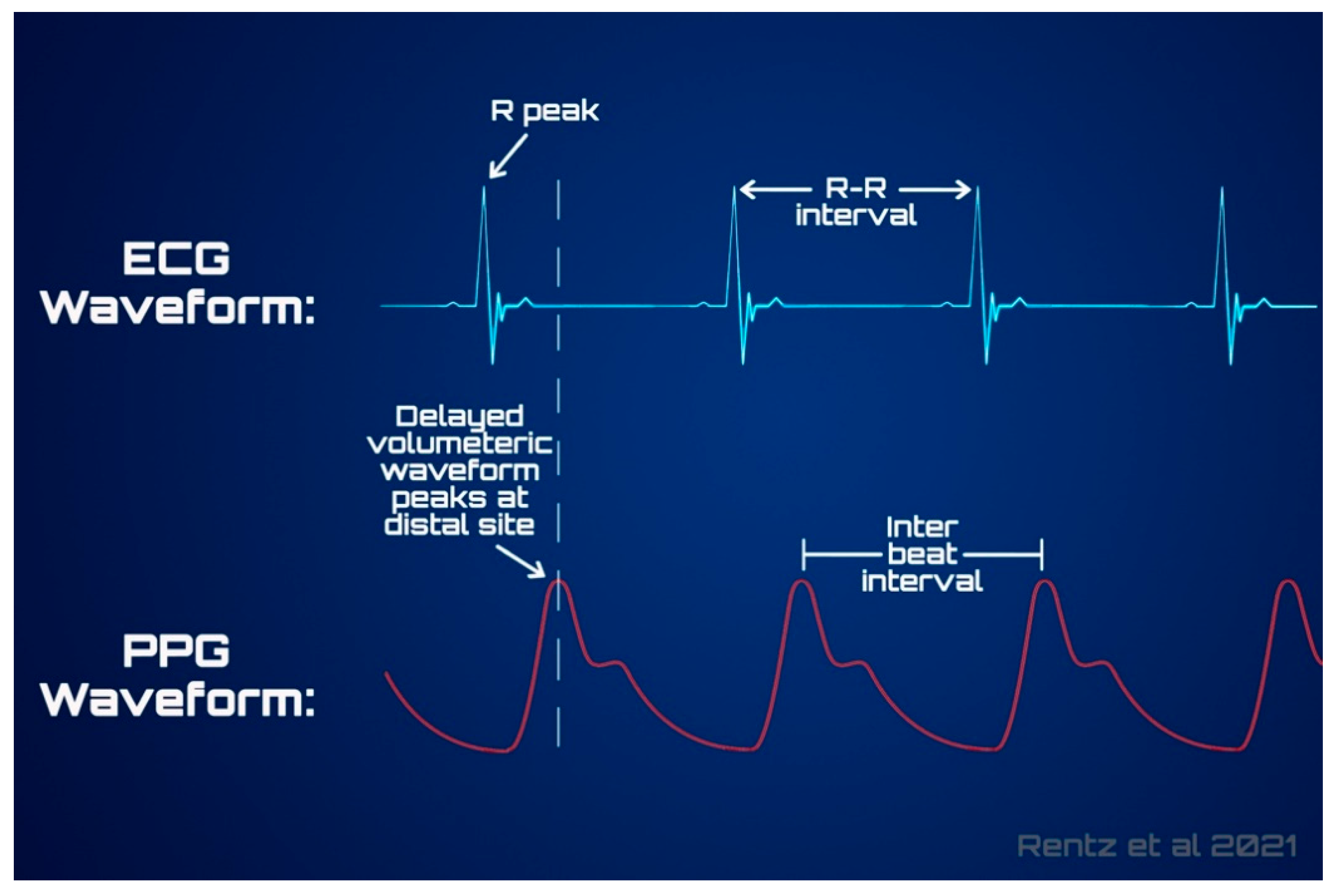 Sensors 21 05071 g003 Sensors 21 05071 g003