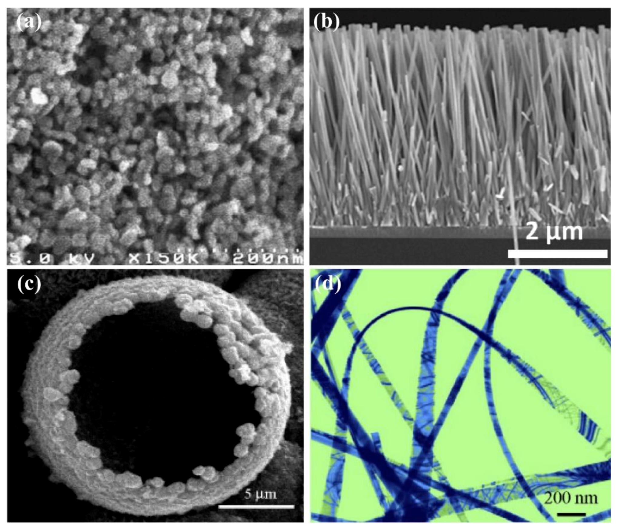 Sensors 21 05502 g001