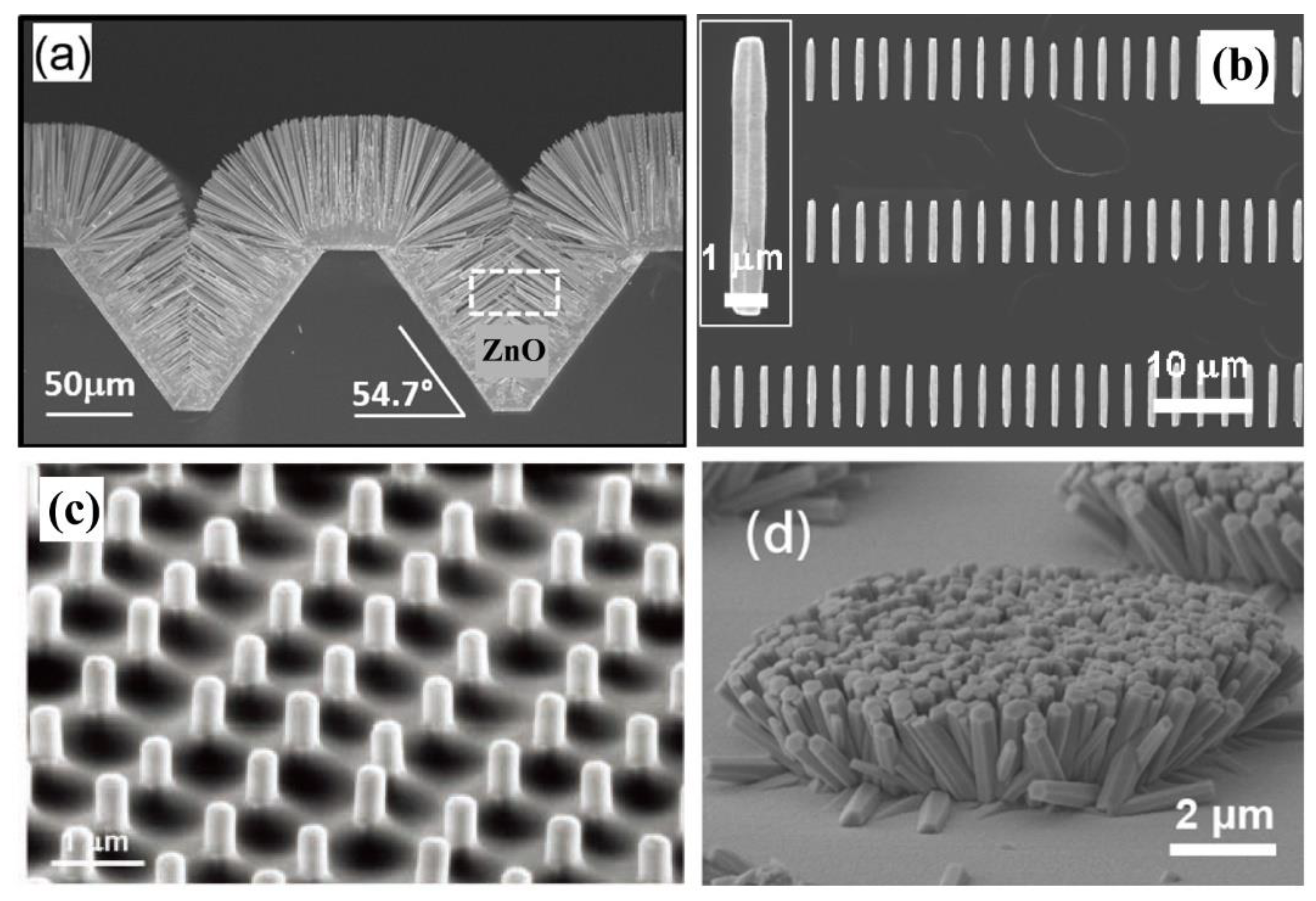 Sensors 21 05502 g002