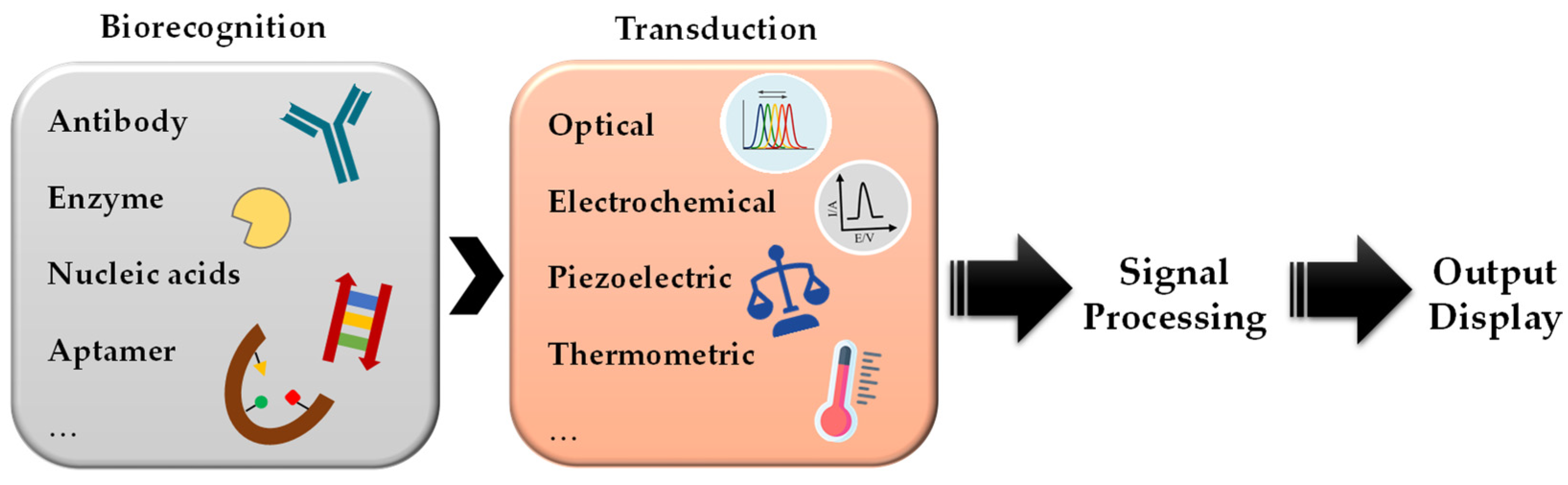 Sensors 21 05784 g001 Sensors 21 05784 g001