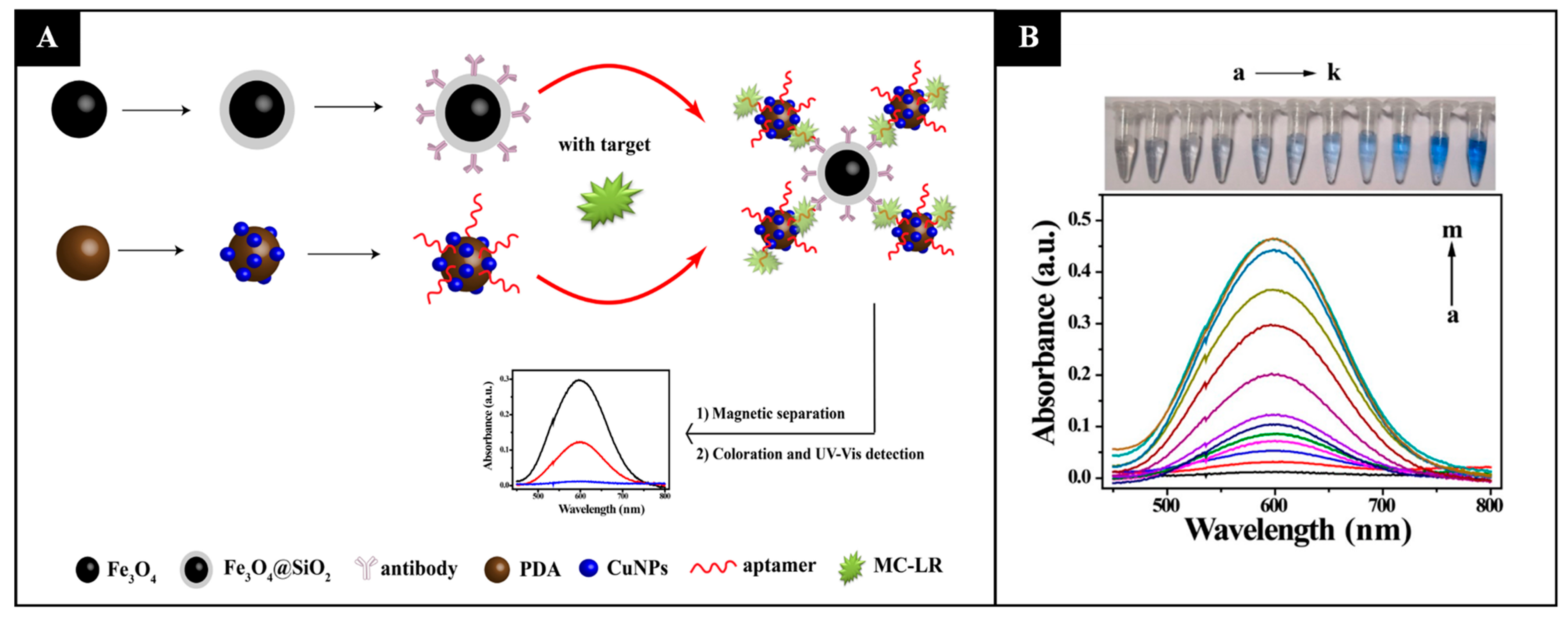 Sensors 21 05784 g002 Sensors 21 05784 g002