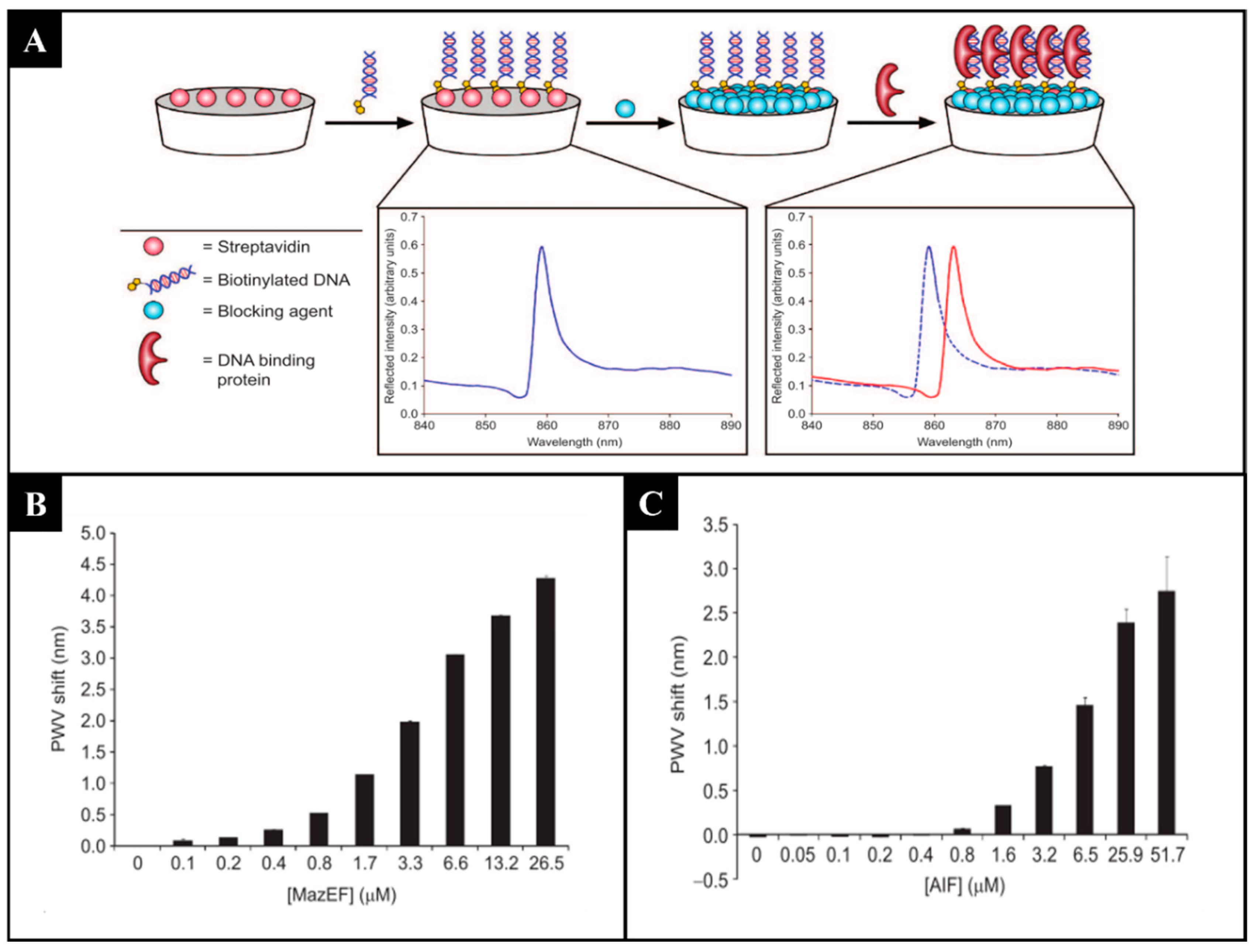 Sensors 21 05784 g006 Sensors 21 05784 g006