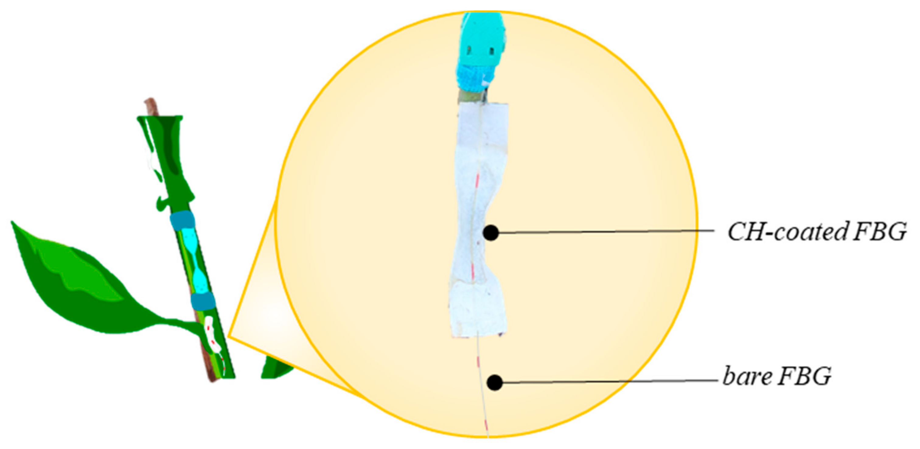 Sensors 21 06327 g003