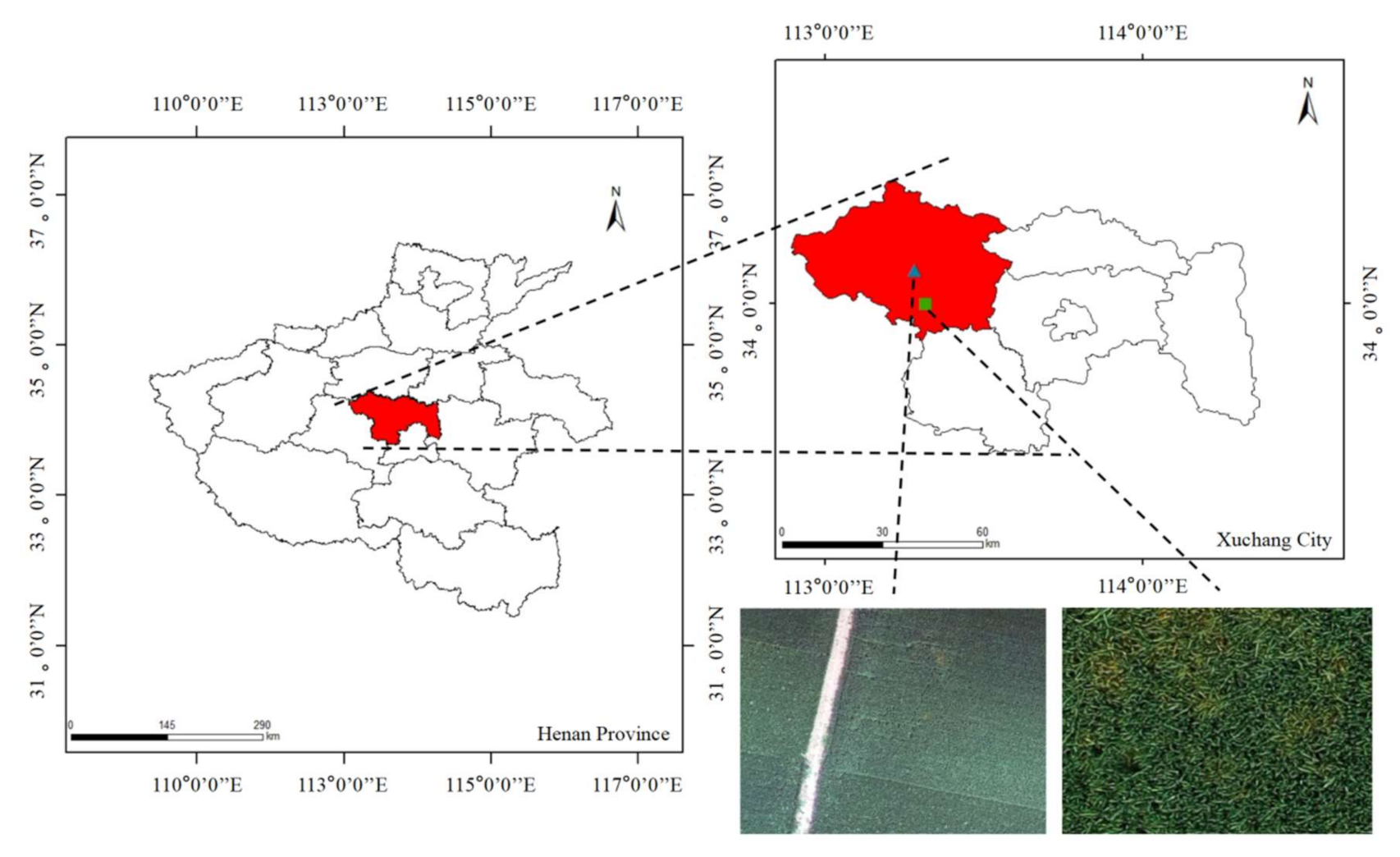 Sensors 21 06540 g001