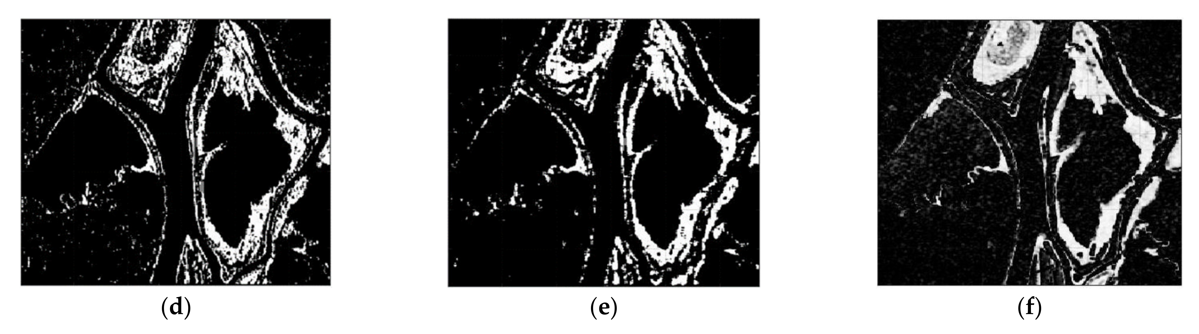 Sensors 21 06645 g008b
