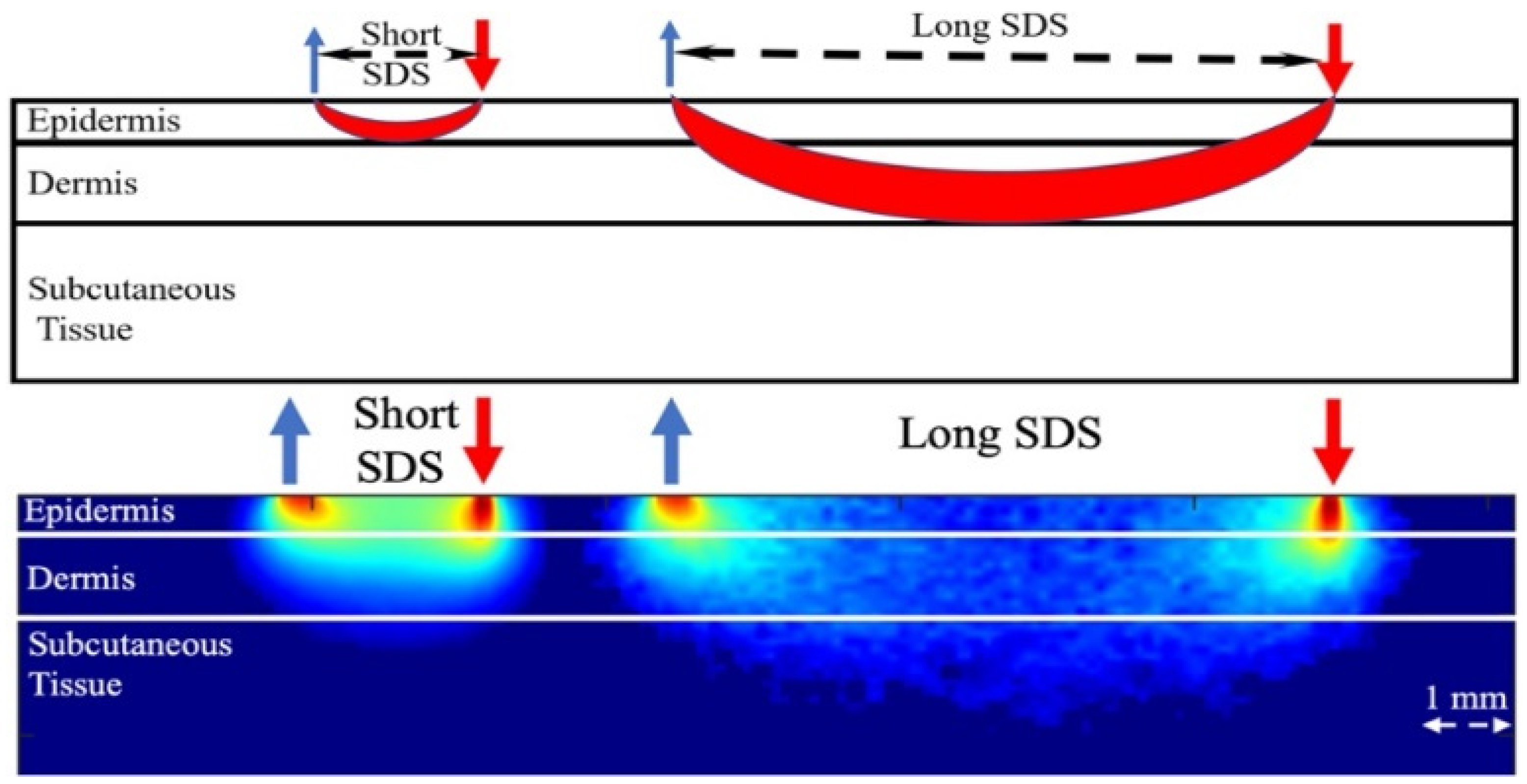 Sensors 21 06820 g005