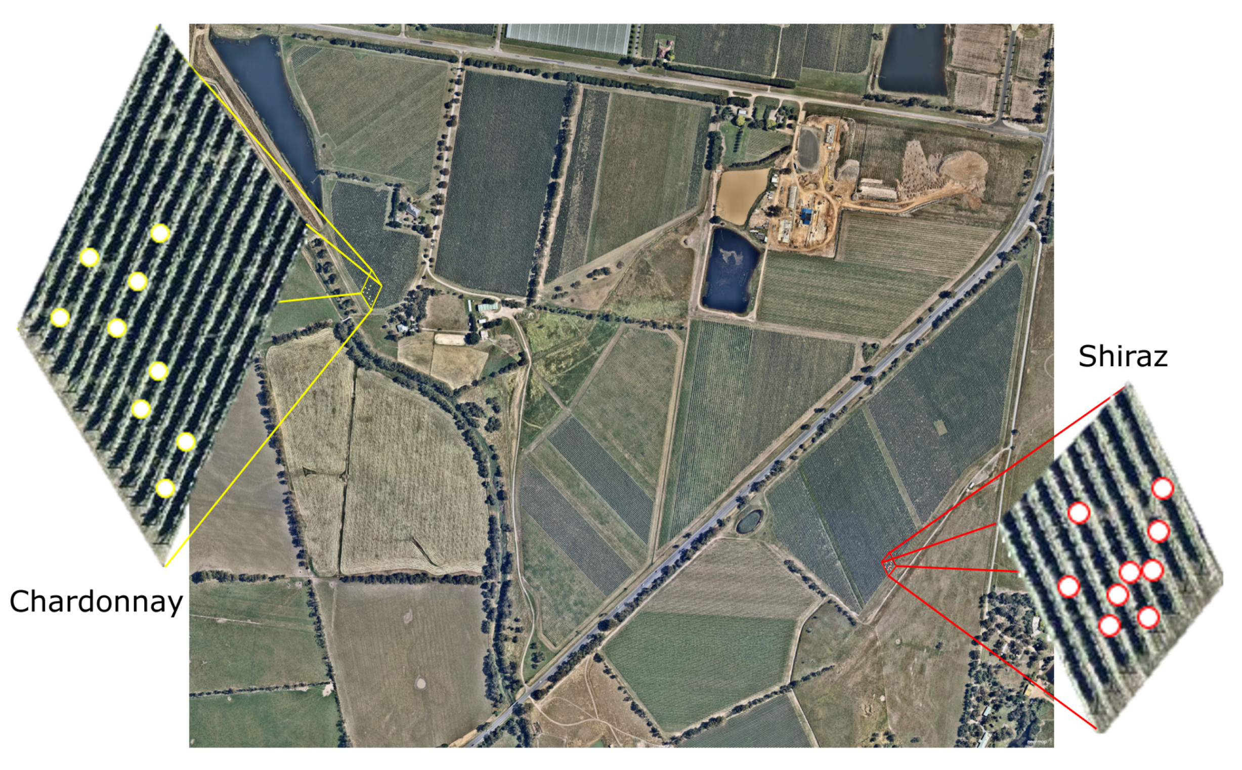 Sensors 21 07312 g001