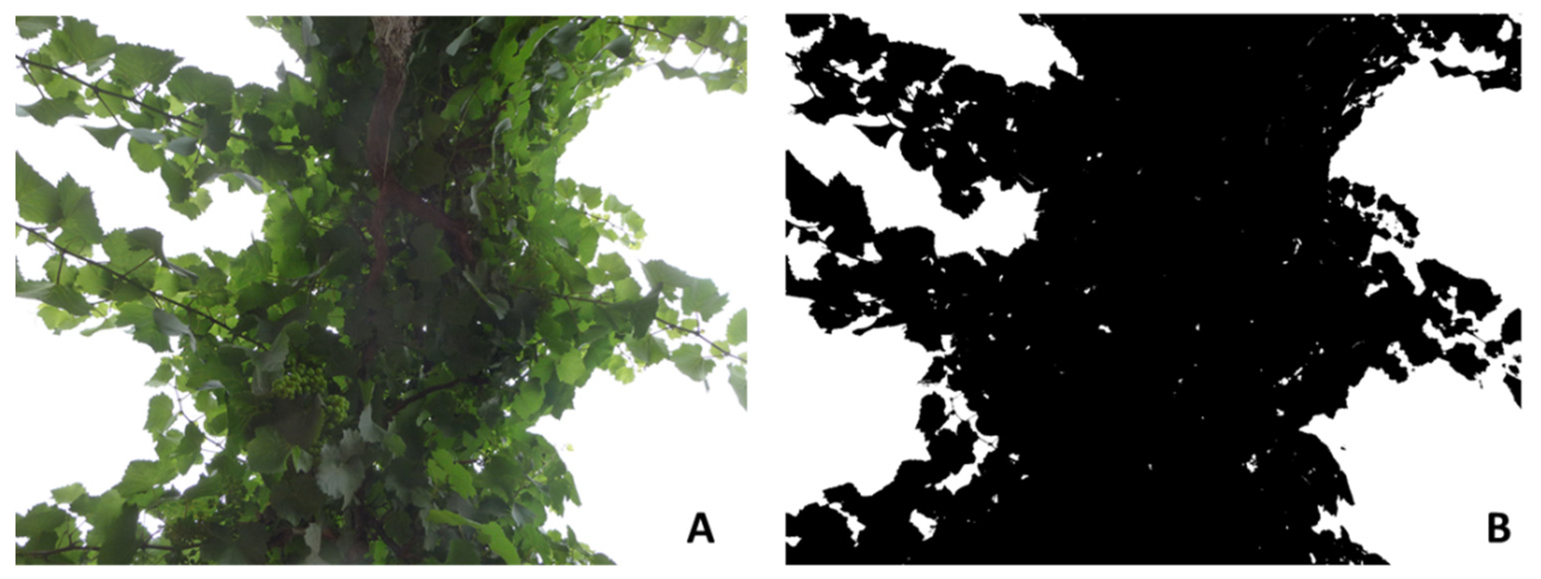 Sensors 21 07312 g002