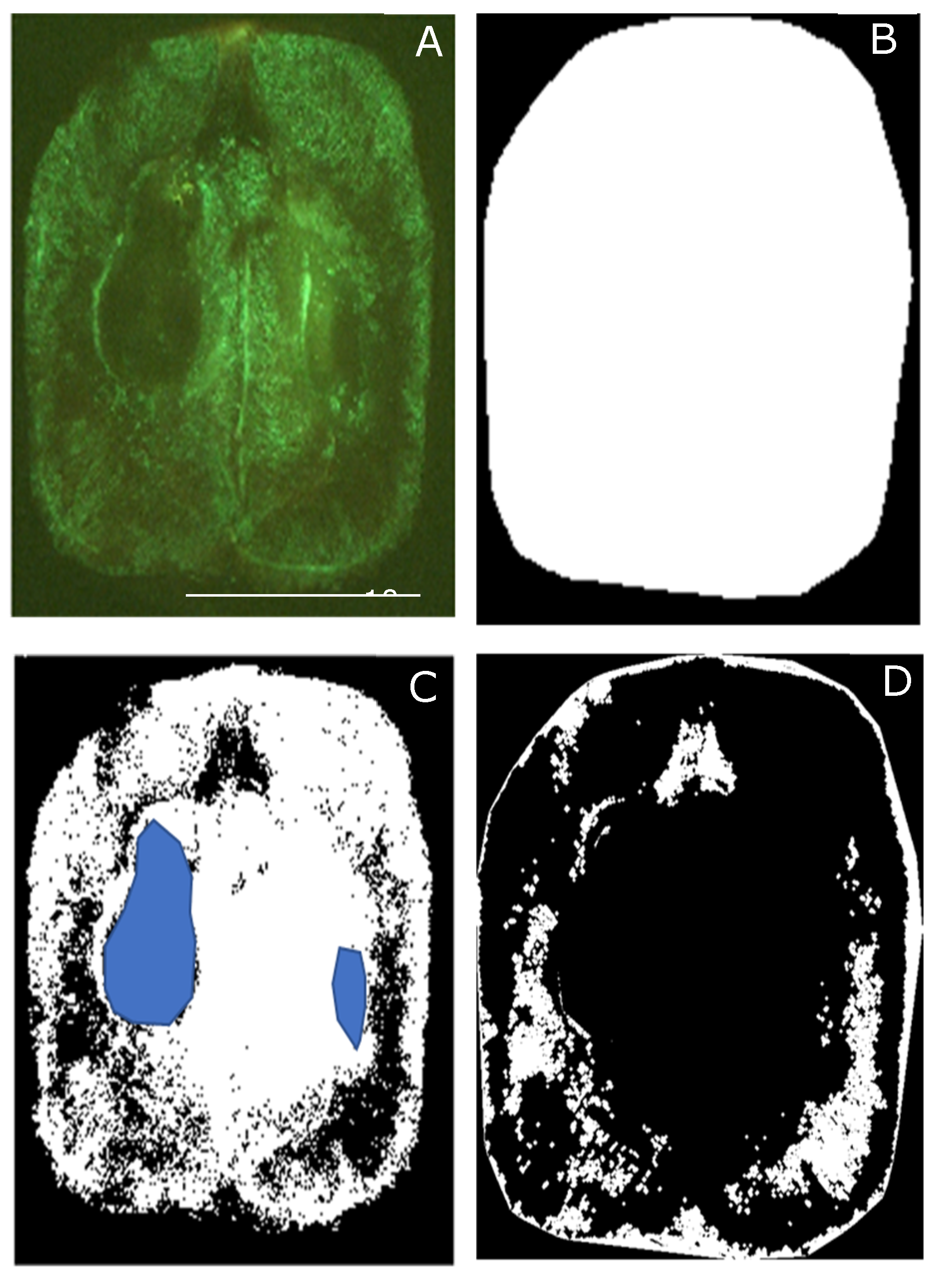 Sensors 21 07312 g003