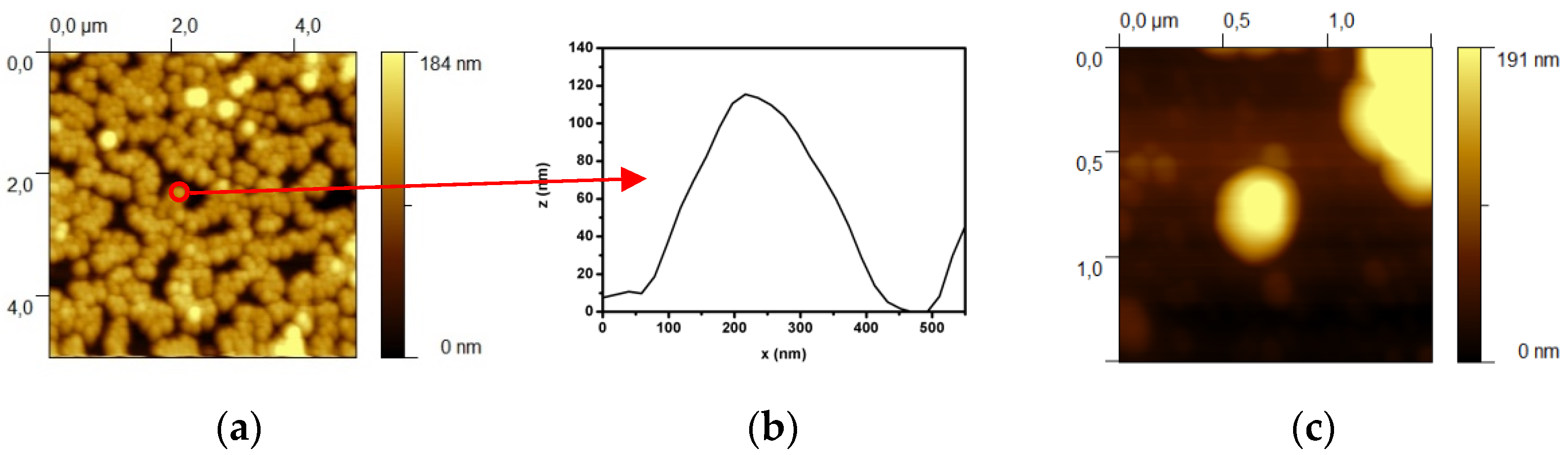 Sensors 21 07912 g006