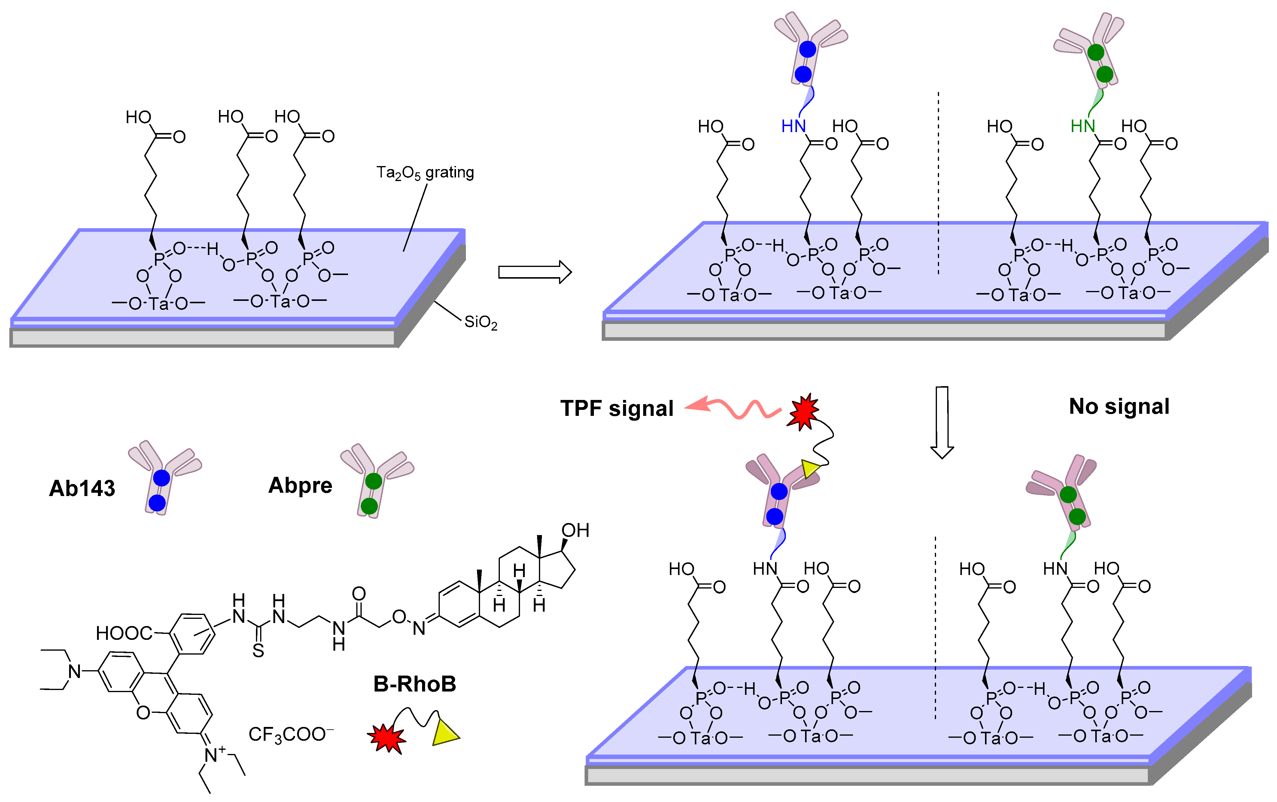 Sensors 22 00004 g006