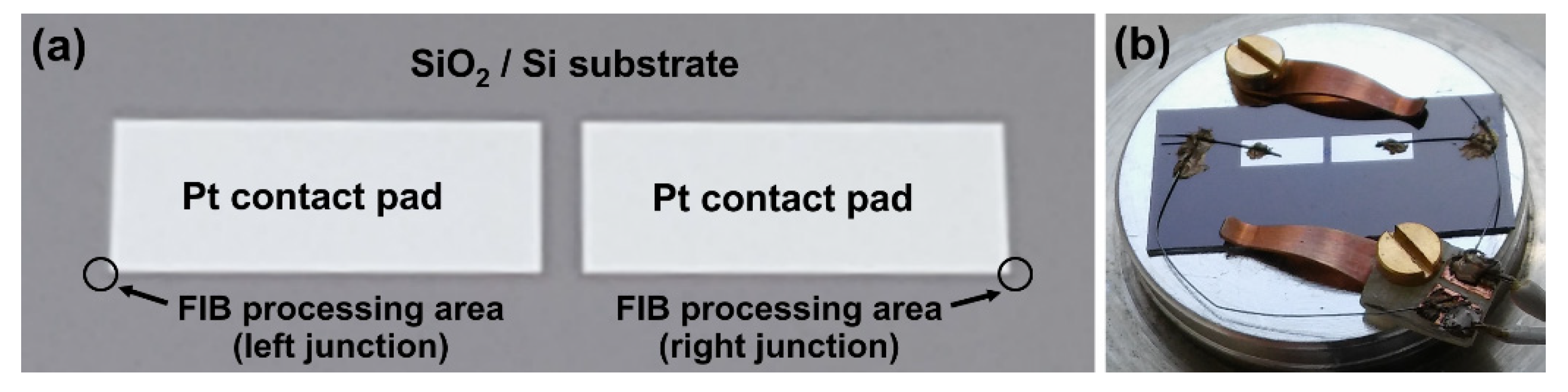 Sensors 22 00287 g001