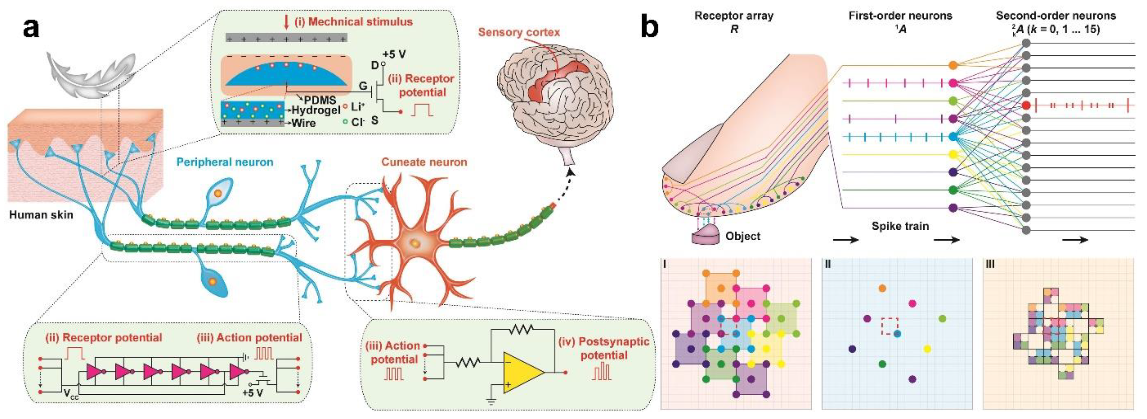 Sensors 22 00975 g012