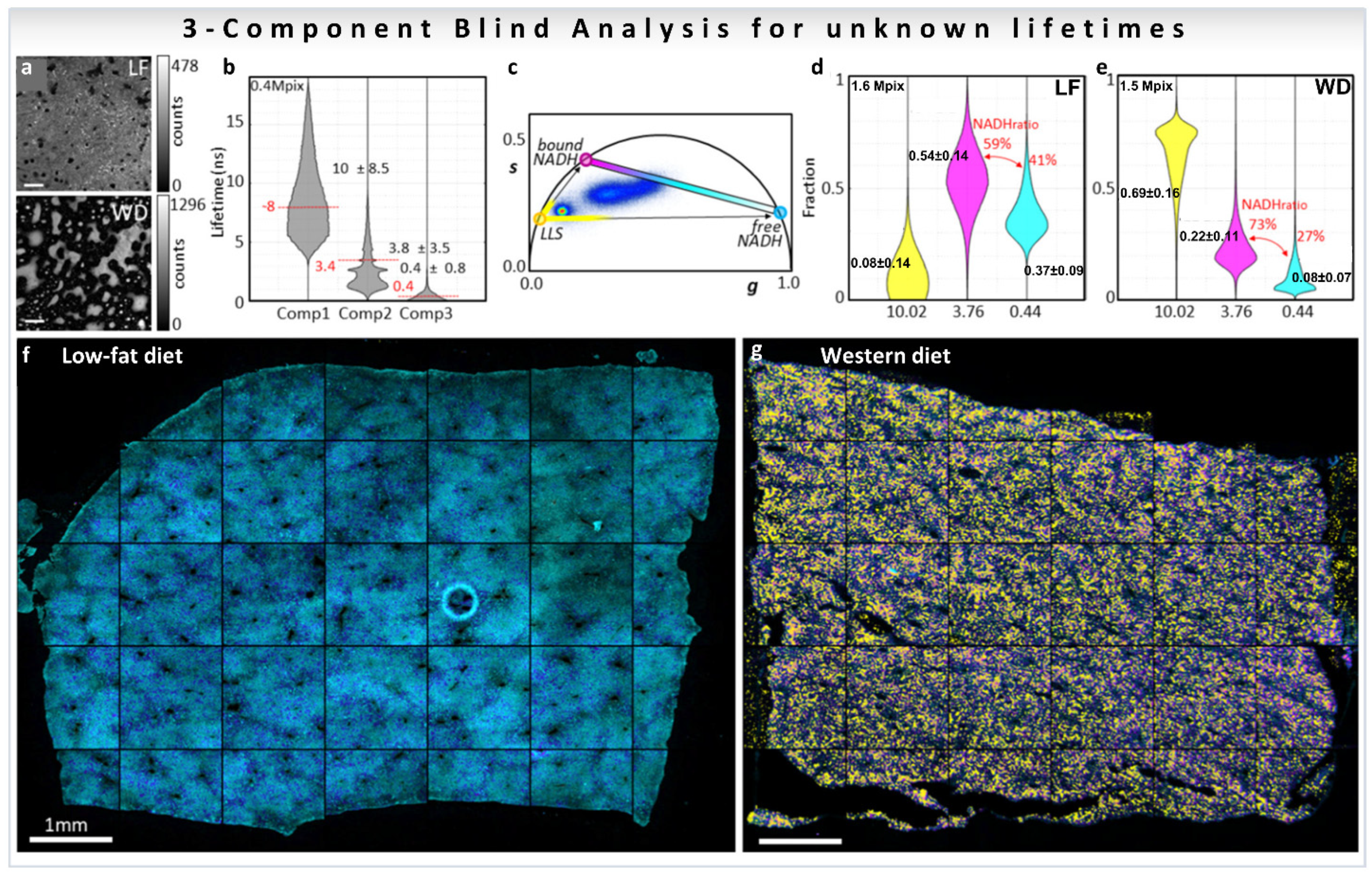 Sensors 22 00999 g012