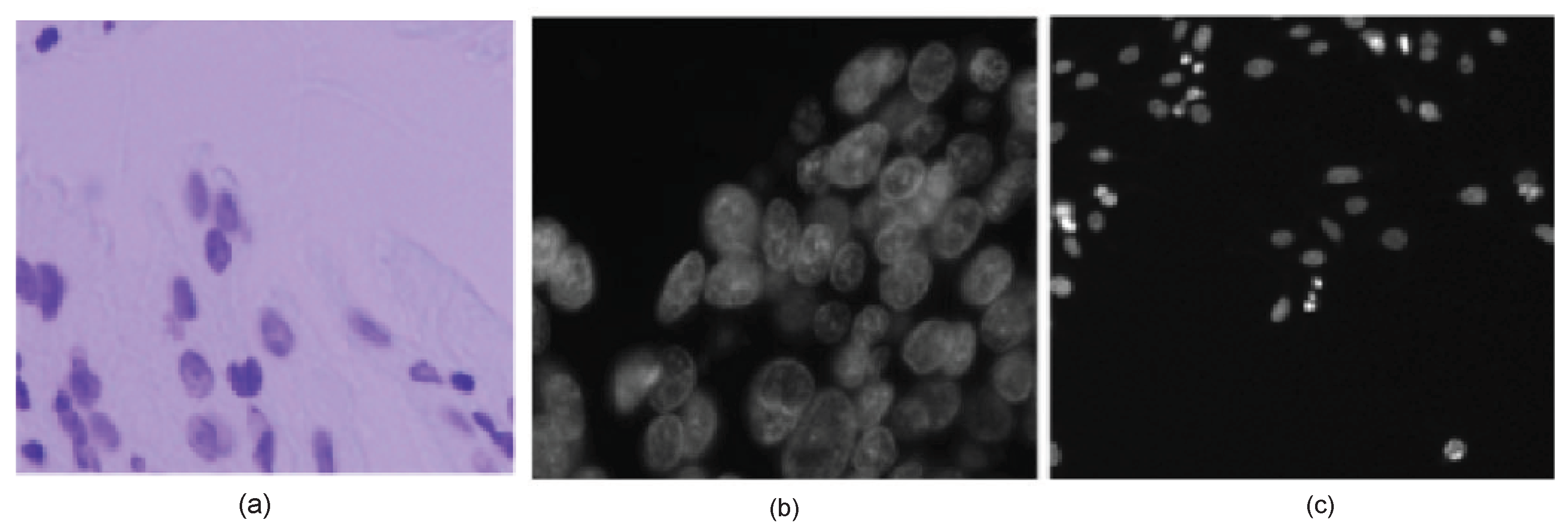 Sensors 22 01586 g001