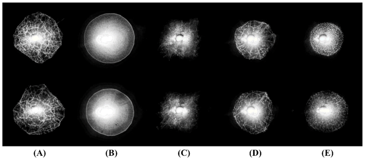 Sensors 22 02646 g003
