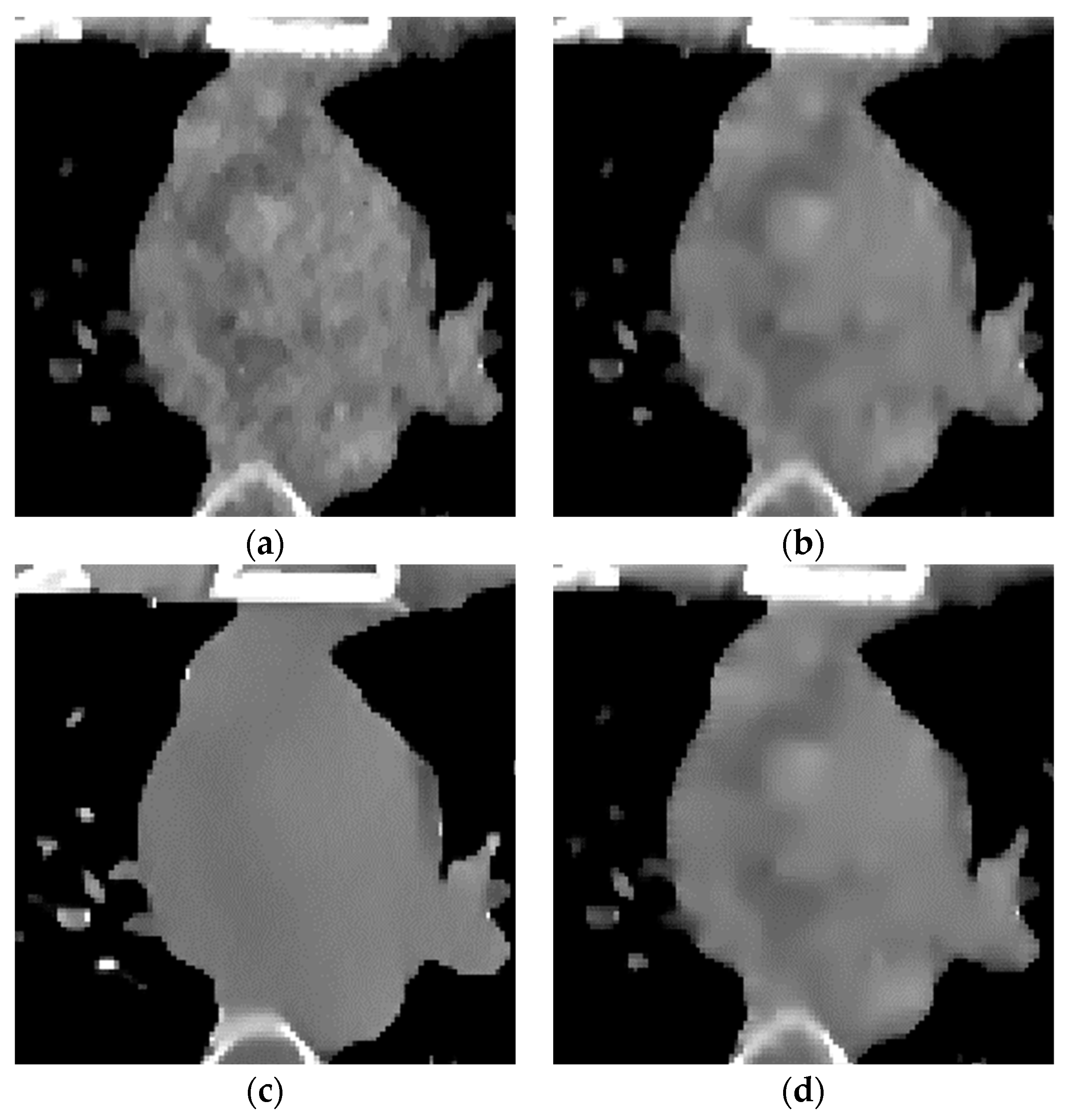 Sensors 22 02883 g011