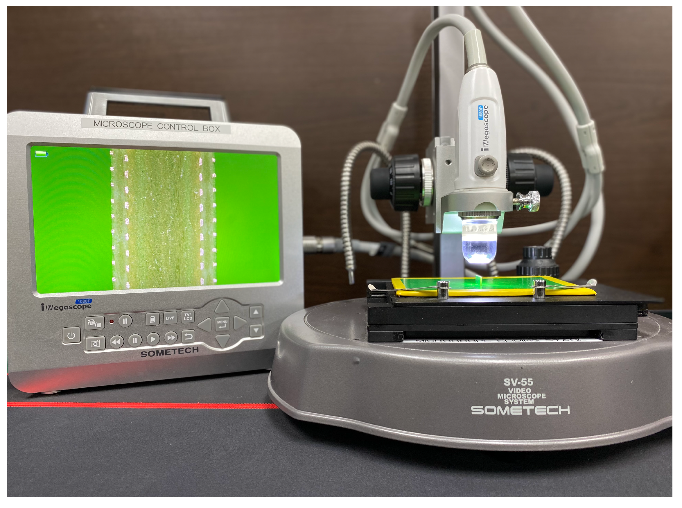 Sensors 22 03815 g008