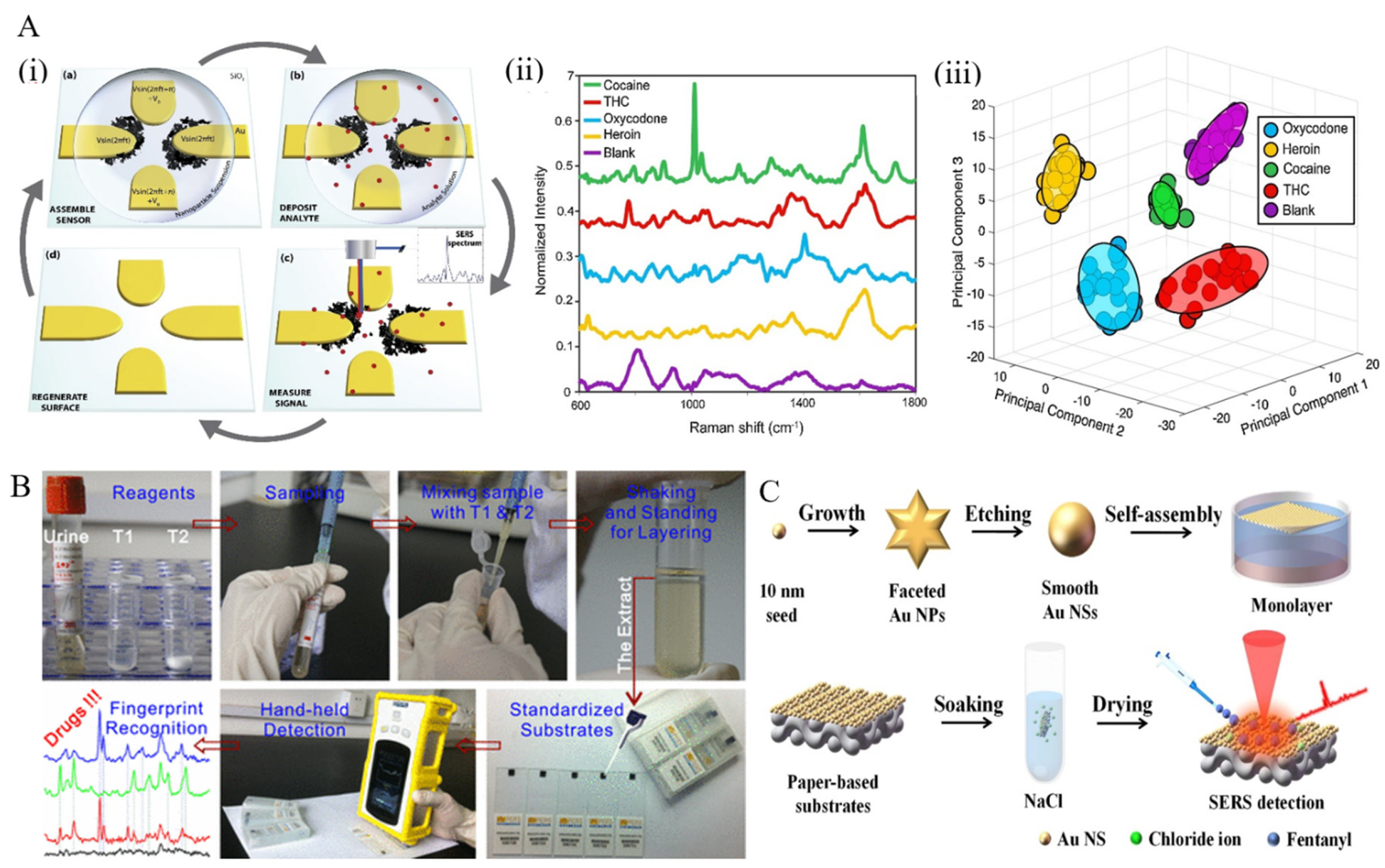 Sensors 22 03877 g002 Sensors 22 03877 g002