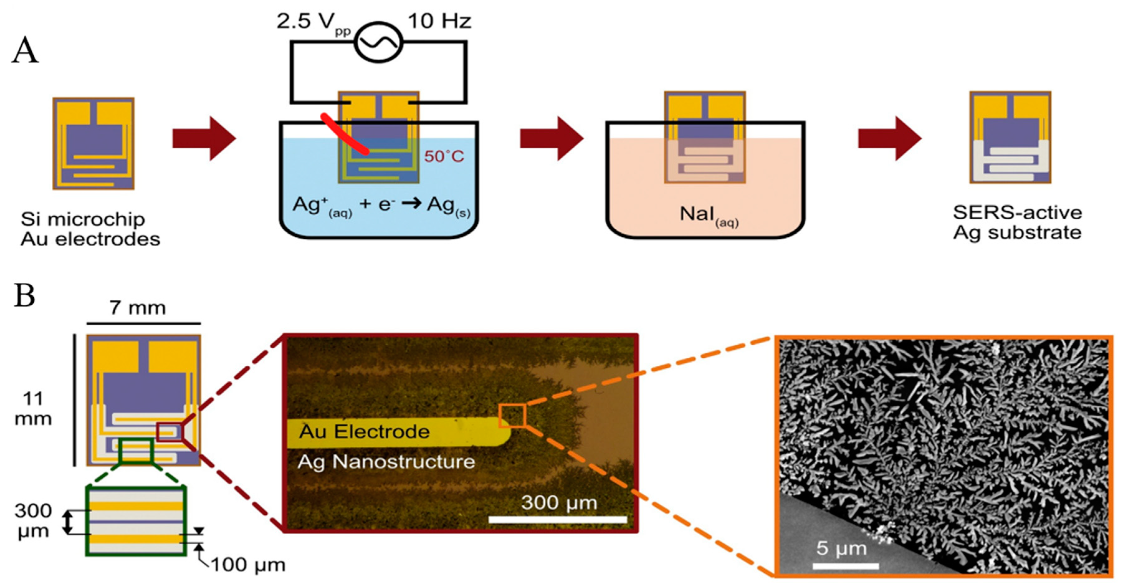 Sensors 22 03877 g003 Sensors 22 03877 g003